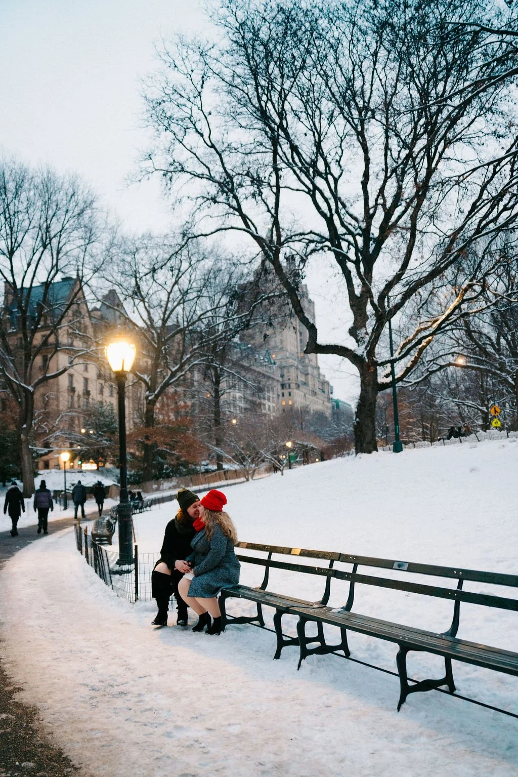 romantic lesbian central park engagement photos