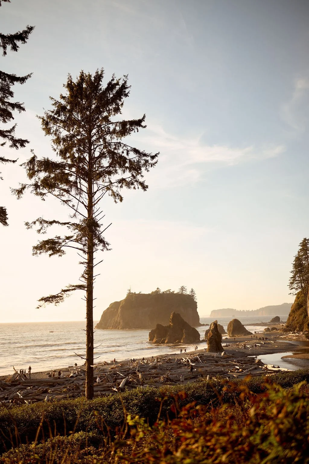 playful newlyweds along the coast of ruby beach during golden hour