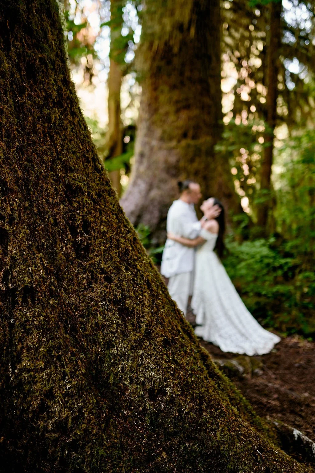 wedding couple roaming around in quinault rainforest