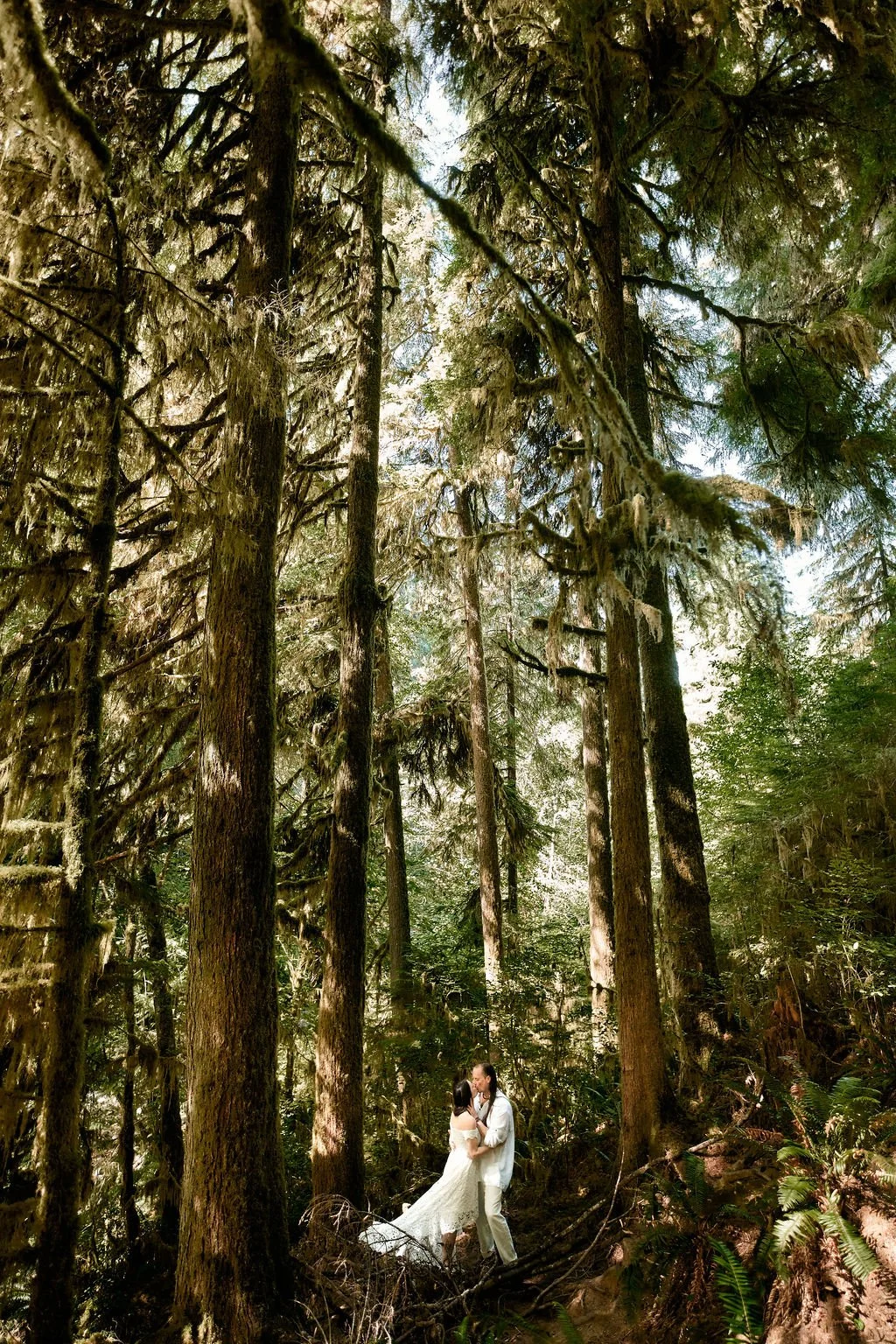 wedding couple during an olympia wa wedding in quinault rain forest