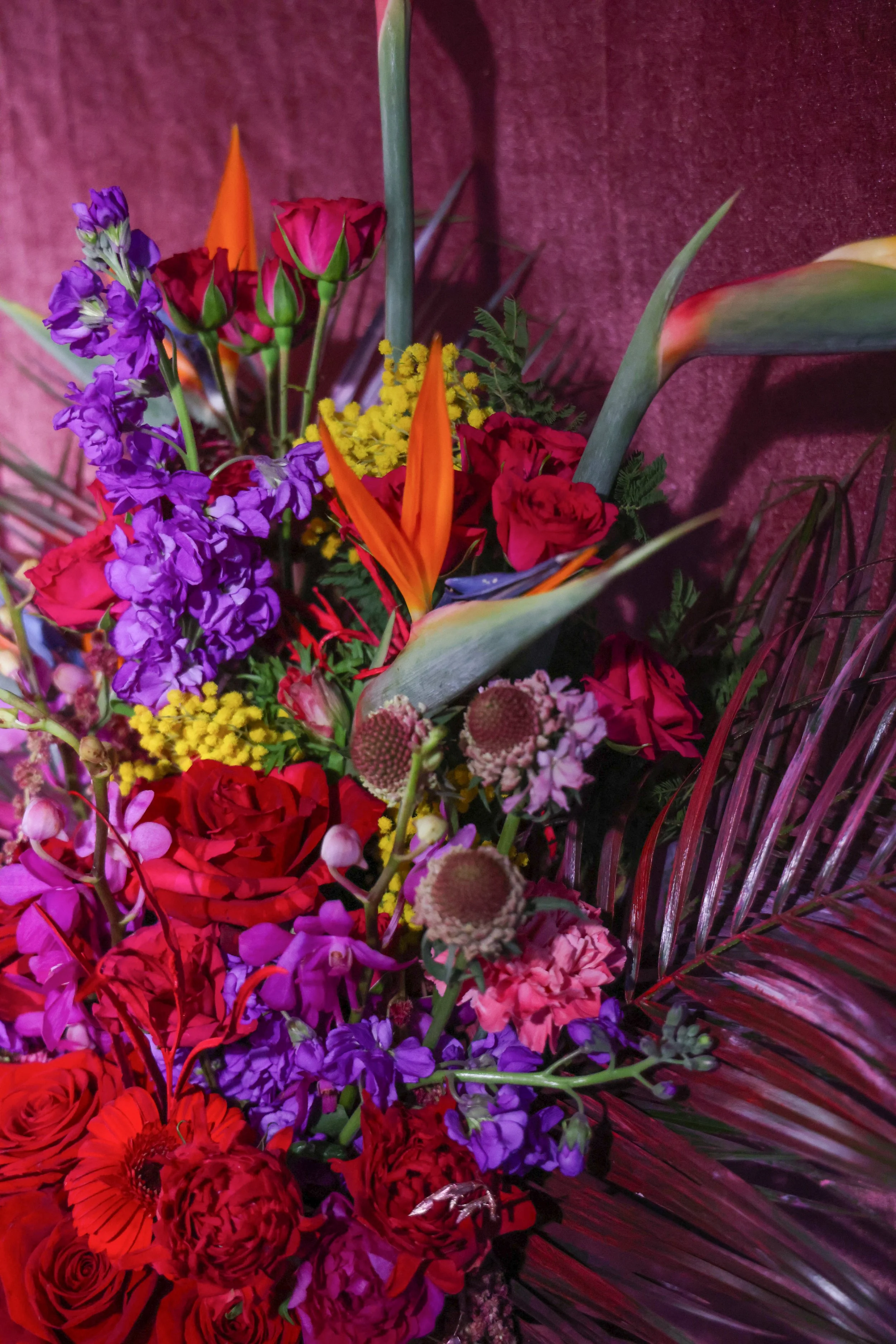 5853830C-5D9A-425F-B35A-33BE10C61822.JPEG (Copy)