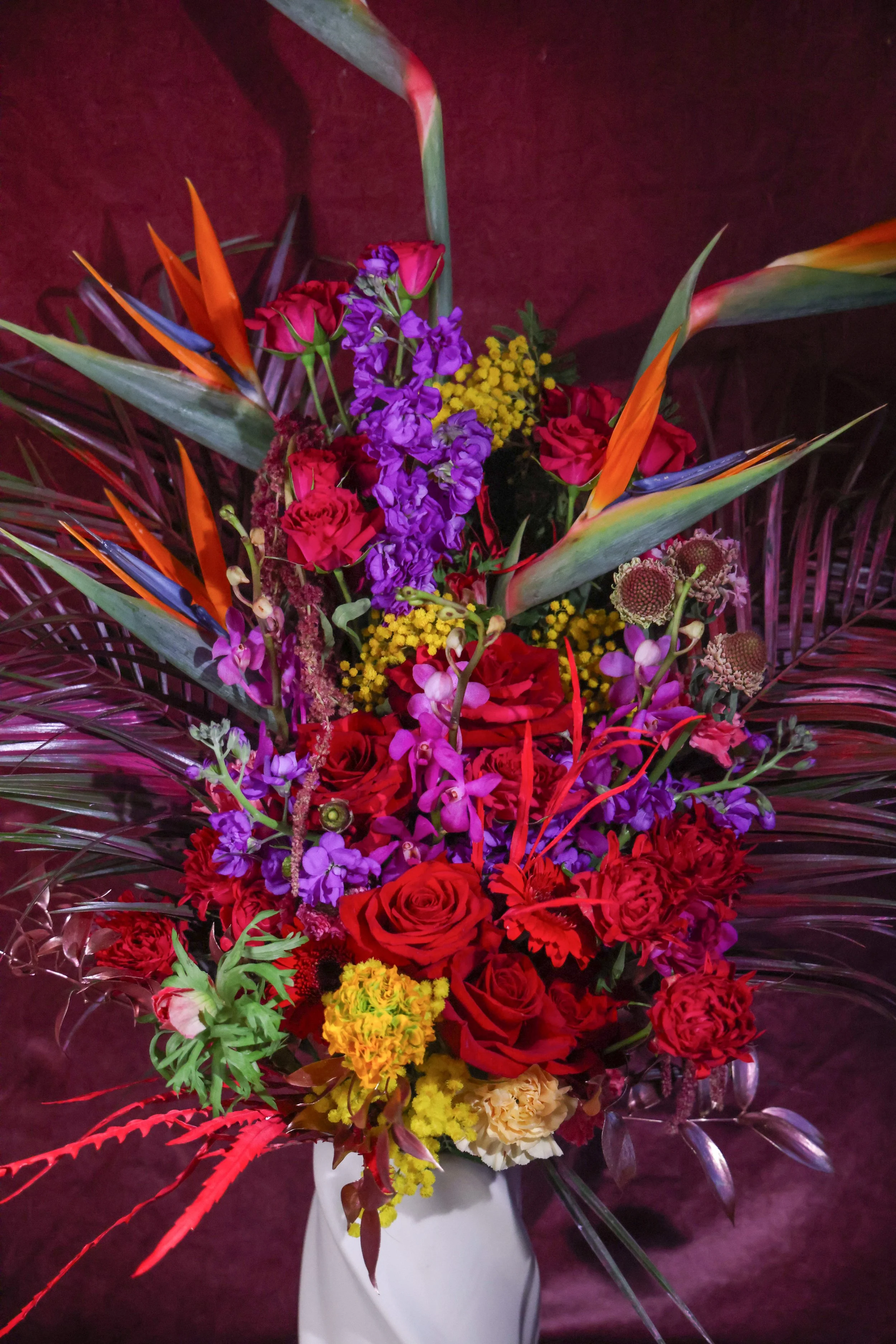 8908C58F-20C6-4359-AF10-1E070603FACE.JPEG (Copy)