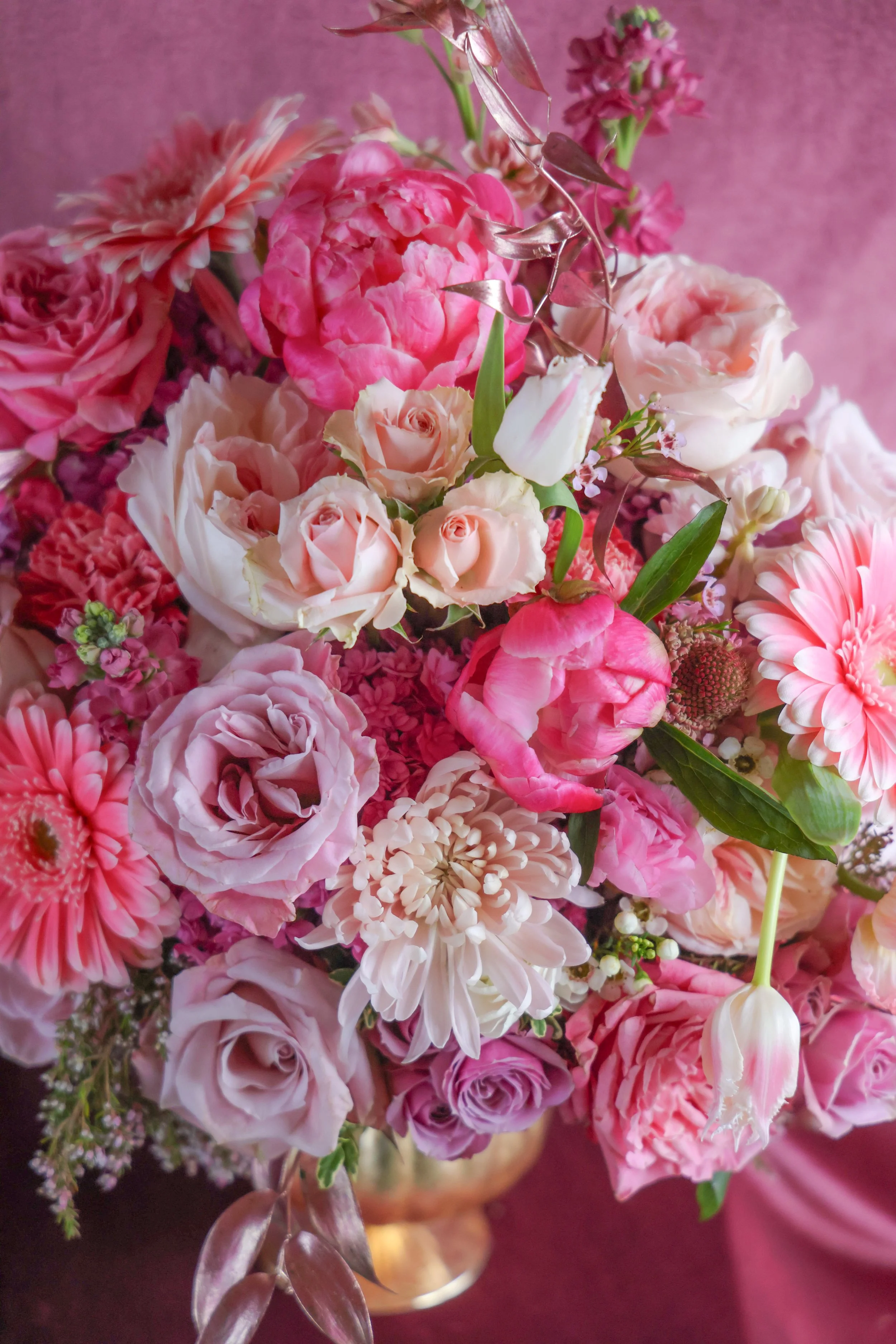 D9EEFF8E-A398-484E-AA14-C8538CF2B31E.JPEG (Copy)