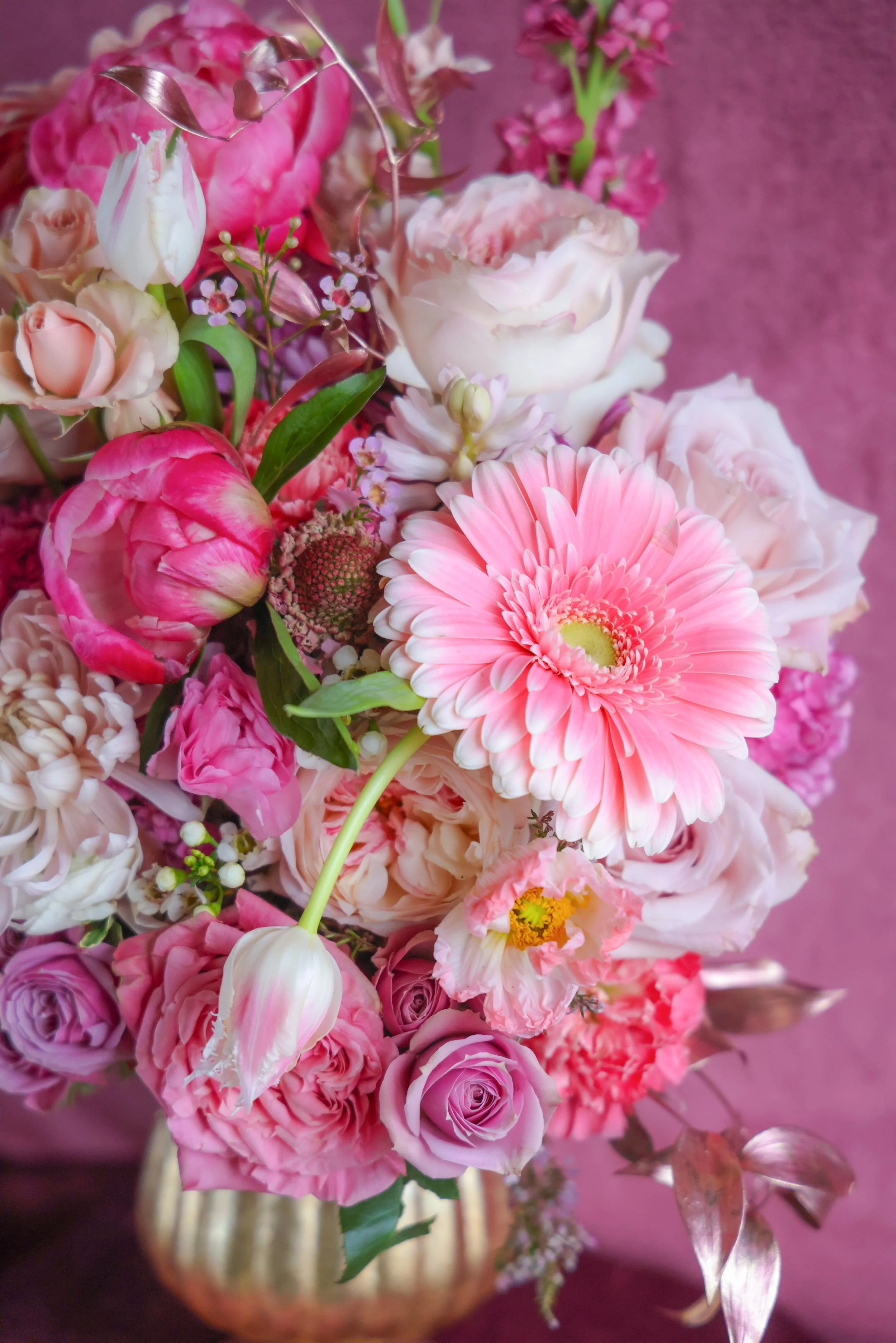 7F997645-475E-48A8-8995-C17DD8282587.JPEG (Copy)