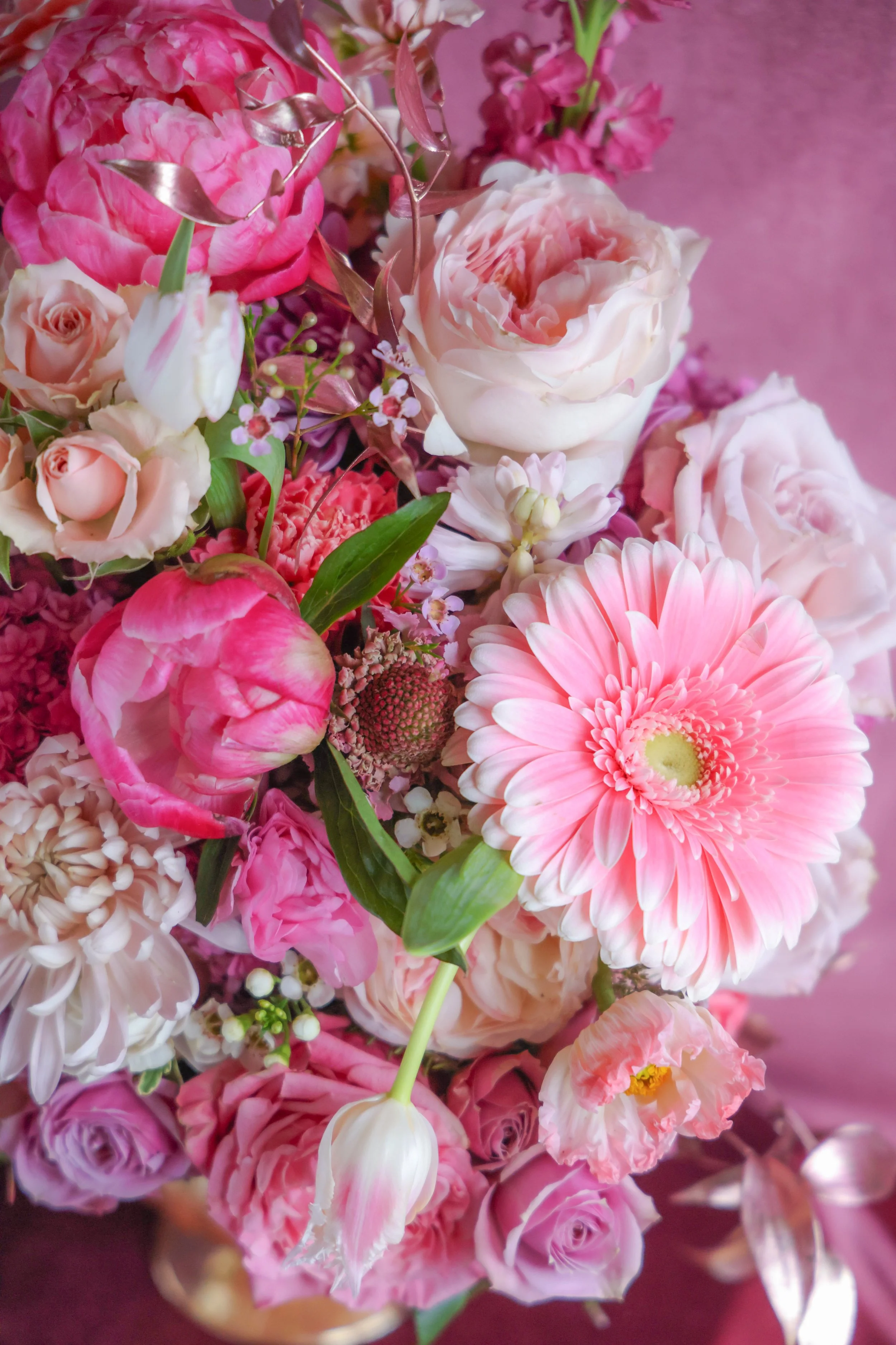 73ED8548-505B-48E8-AAC4-831B0B340CCA.JPEG (Copy)