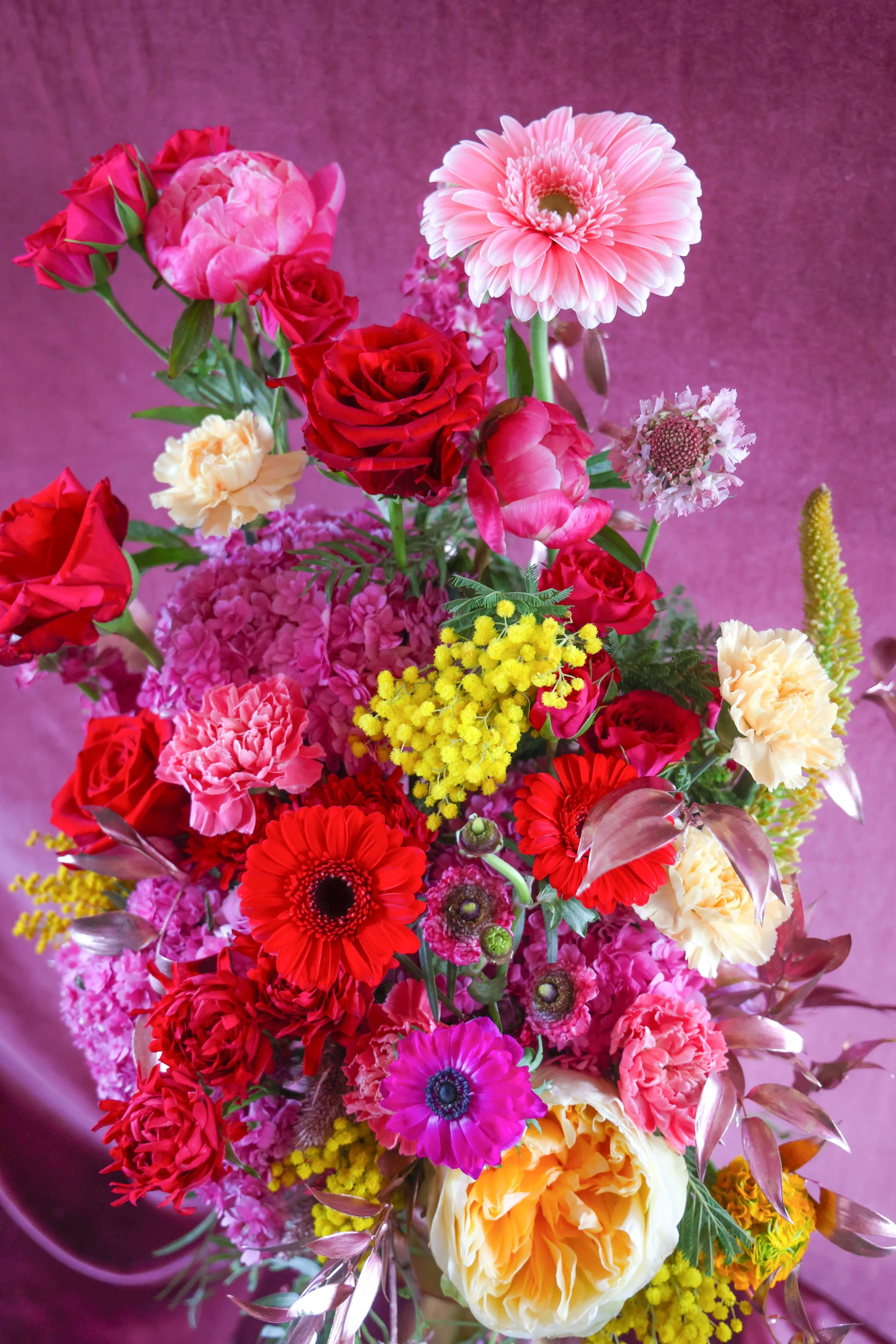 7C20CB20-C3B5-48AE-9215-7AF353A7E09C.JPEG (Copy)