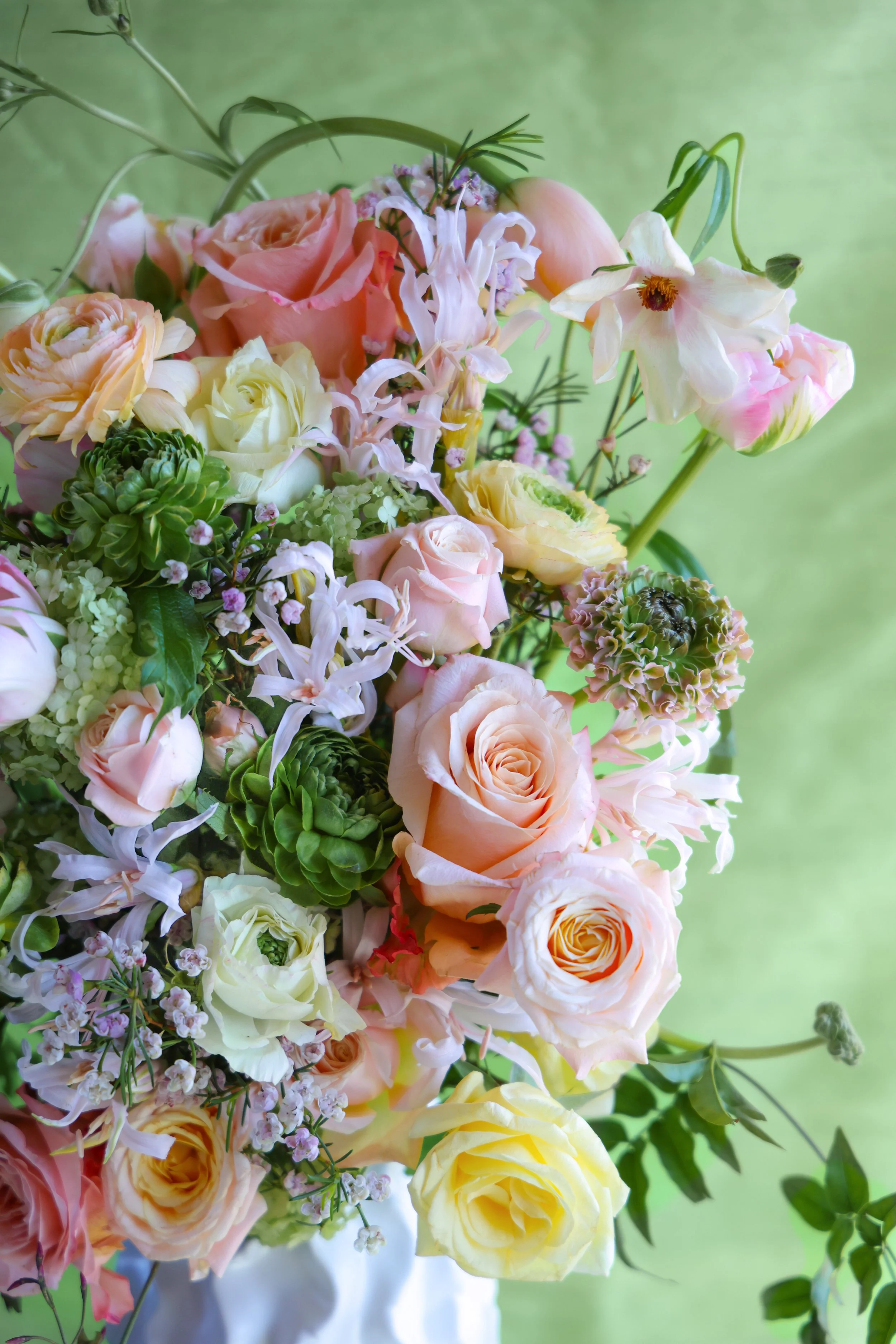 530EA0CB-E800-4BE1-984E-CBD0F10F2E14.JPEG (Copy)