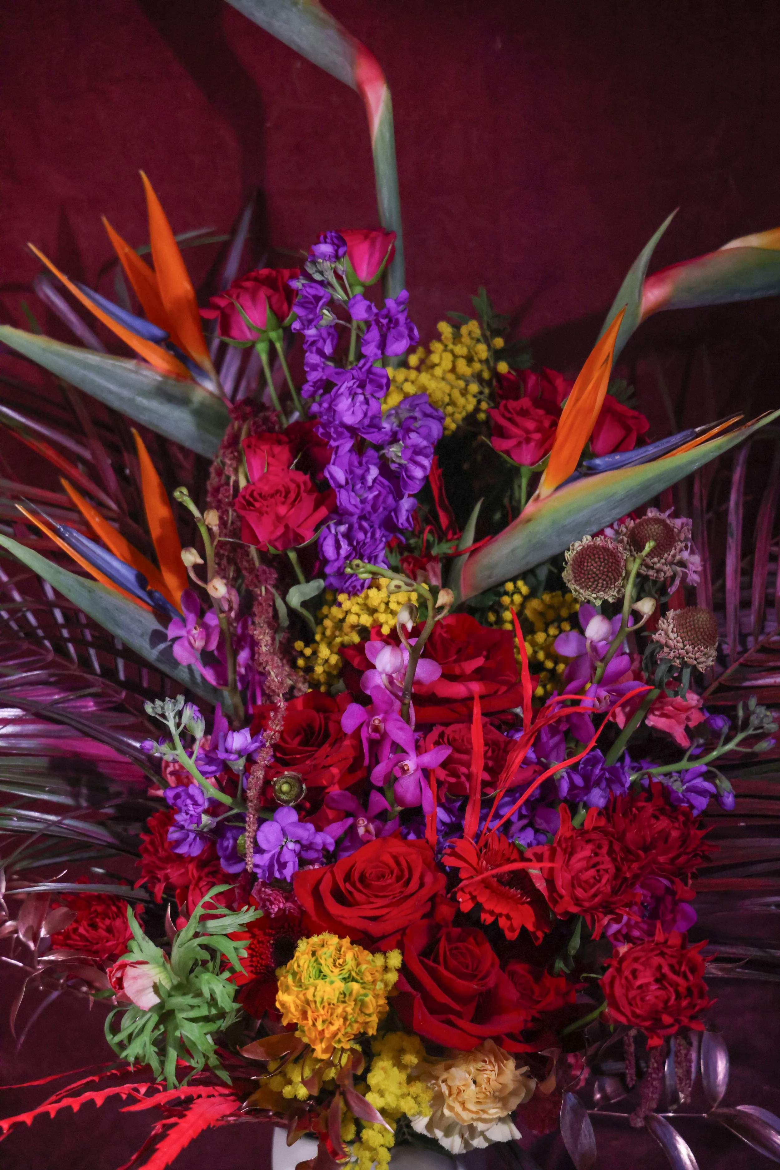 E59A9D5A-1F67-4947-B60A-84E275701B13.JPEG (Copy)