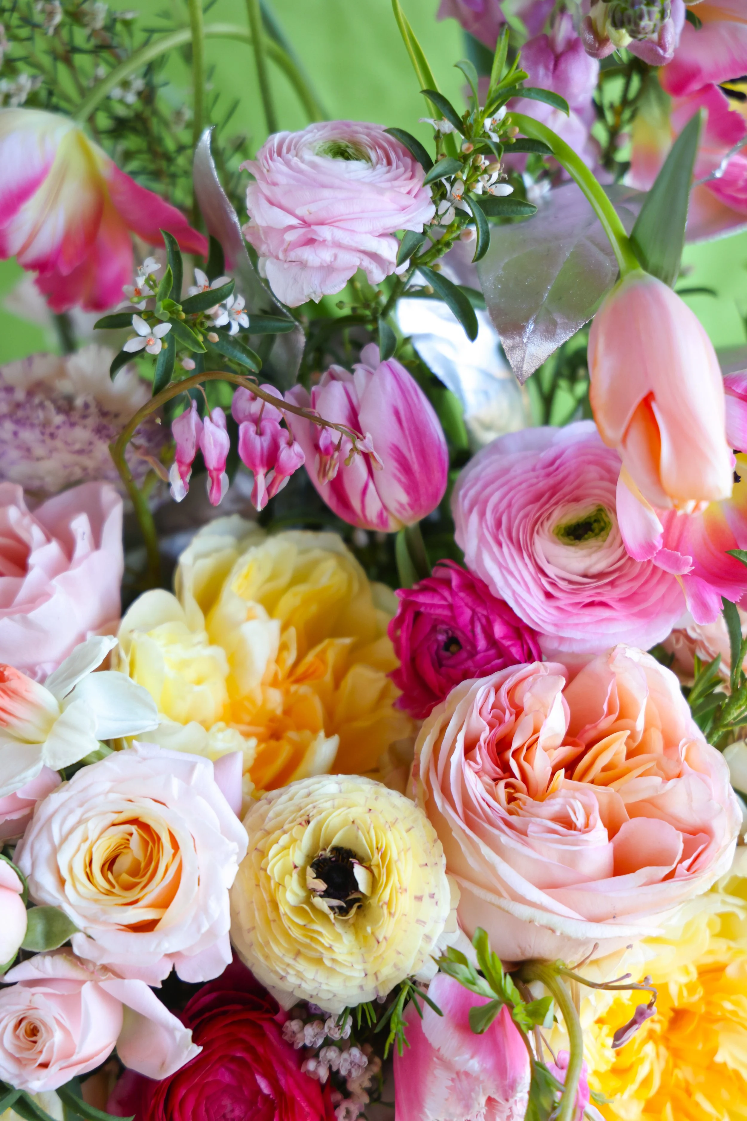 009F217B-6EE6-4796-94F7-69039042594E.JPEG (Copy)