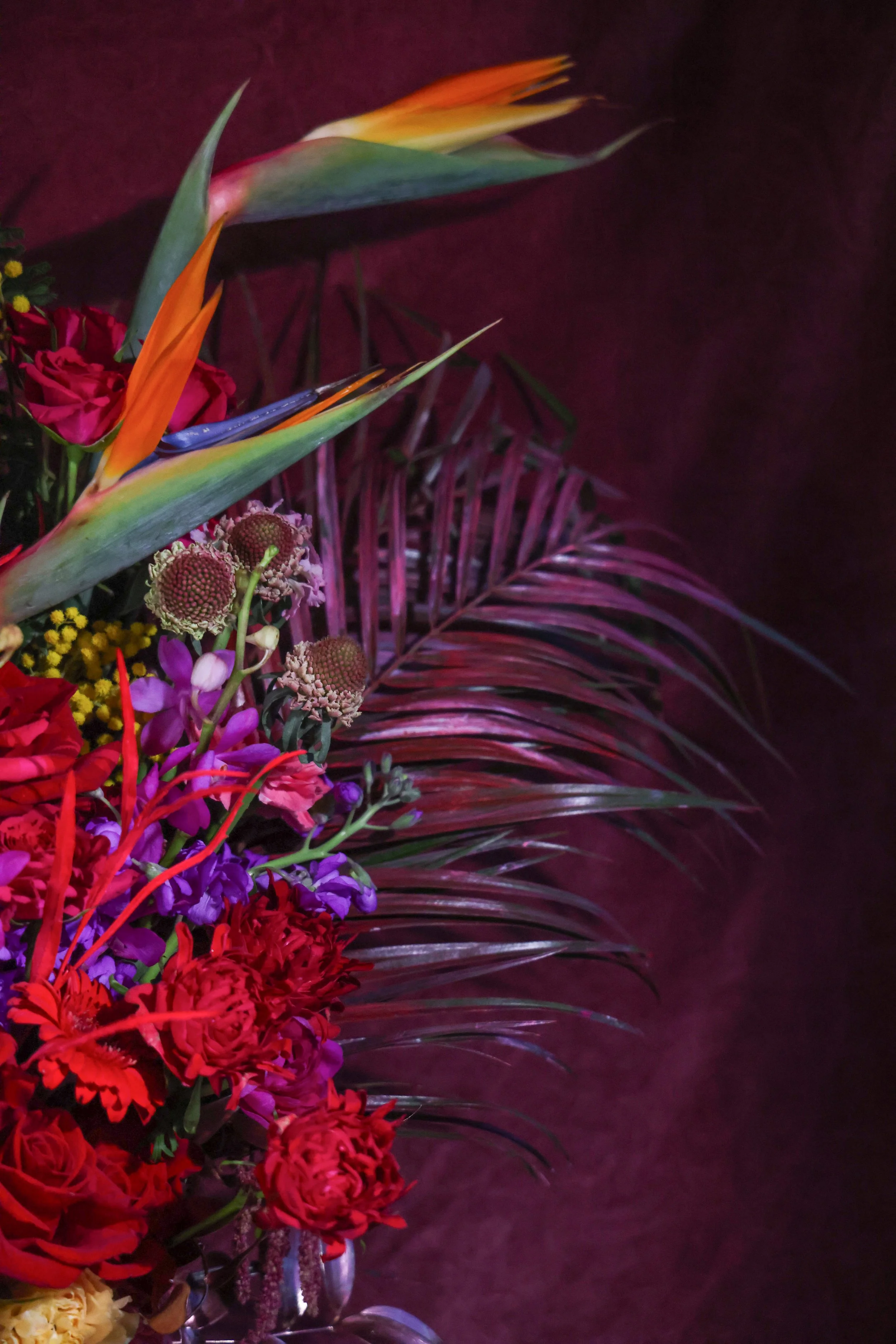 DA18137D-CFA1-4BCB-9938-6D79D745E185.JPEG (Copy)