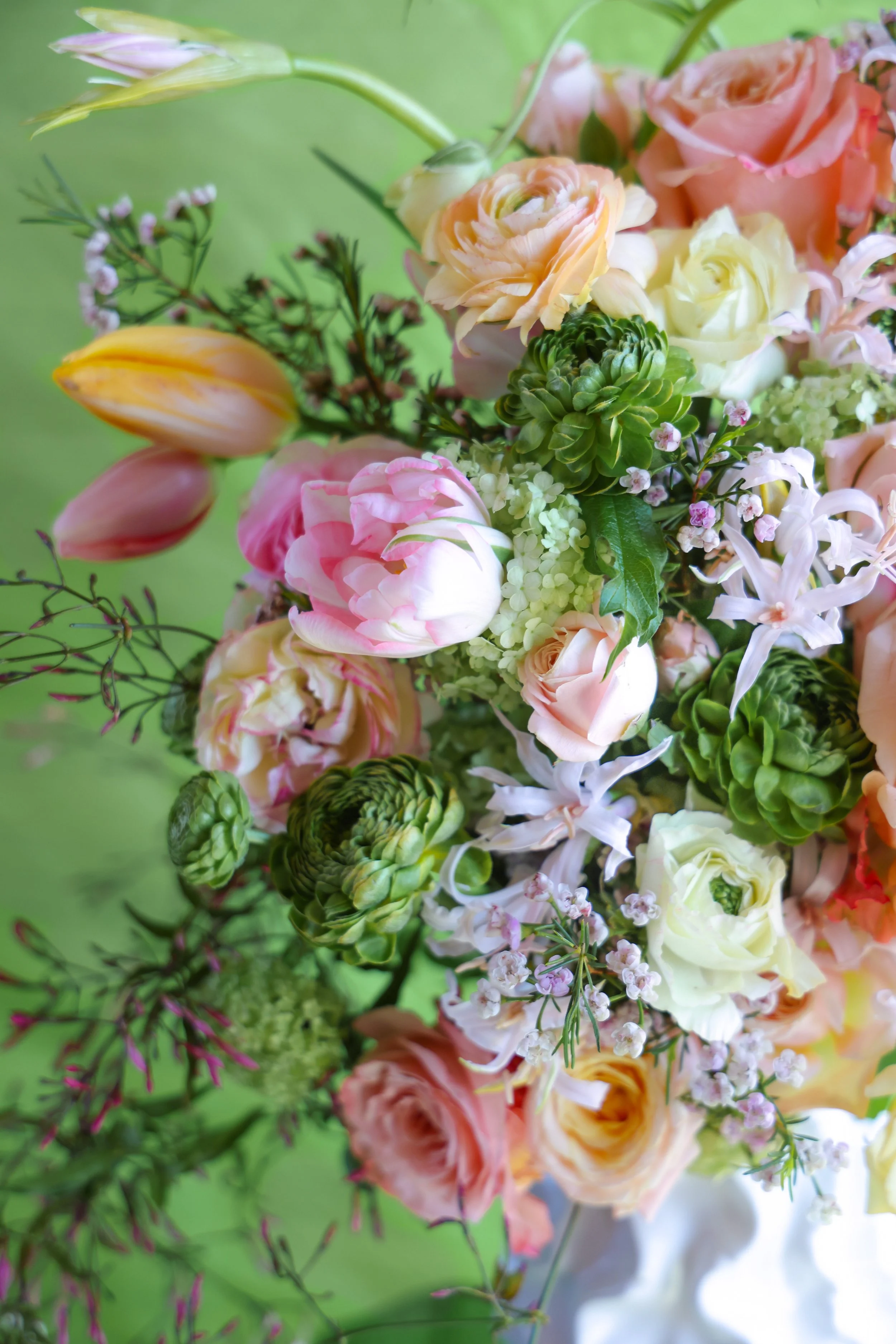 4611E244-54DF-4E96-B2A3-2F8BCF189A68.JPEG (Copy)