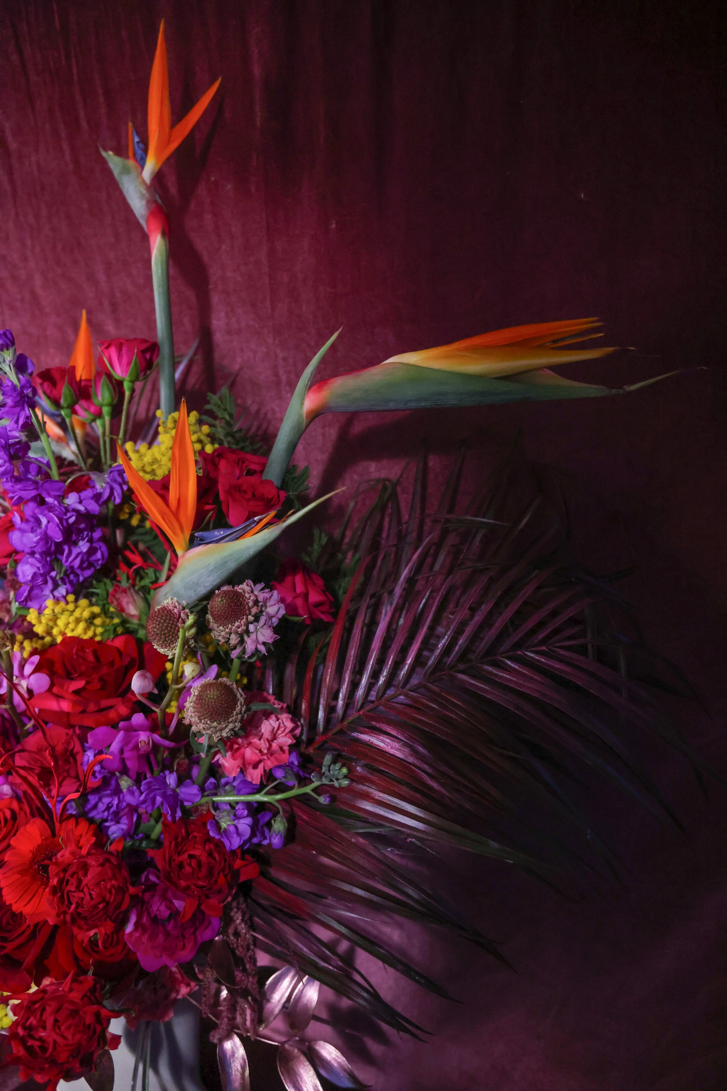 2BB05BC3-12BC-4002-A64C-73C17AD90F07.JPEG (Copy)