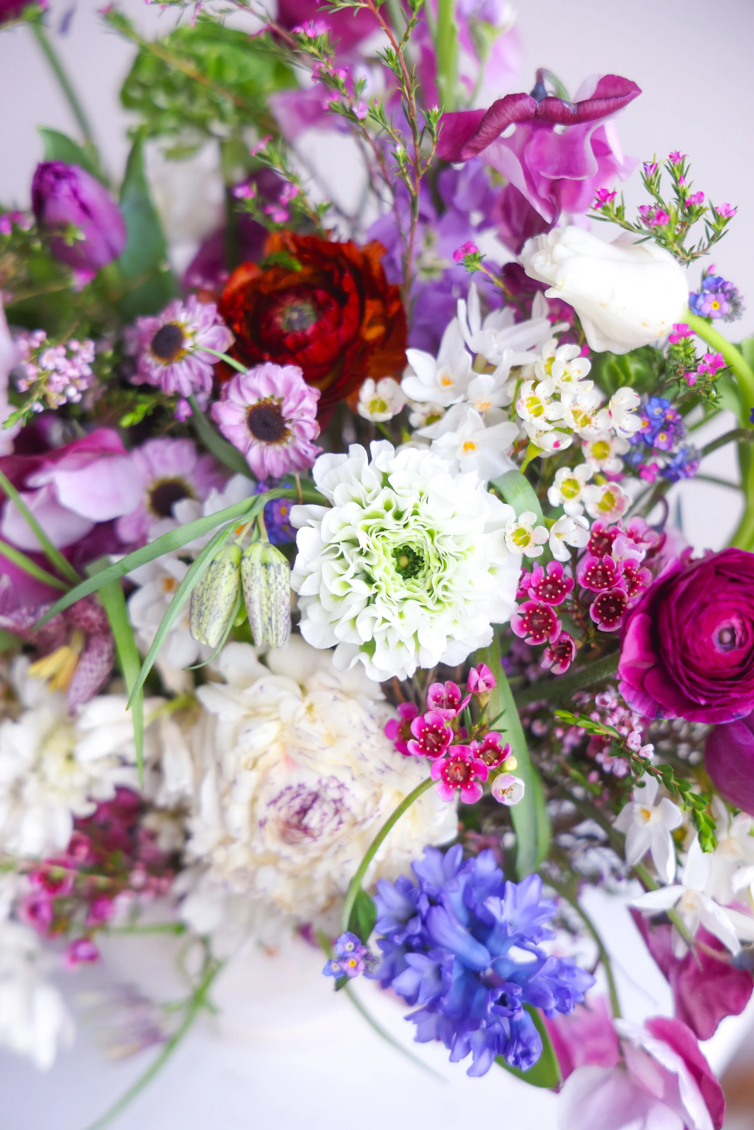 EC112BA2-7D97-41F3-9D25-7614DE9420A0.JPEG (Copy)