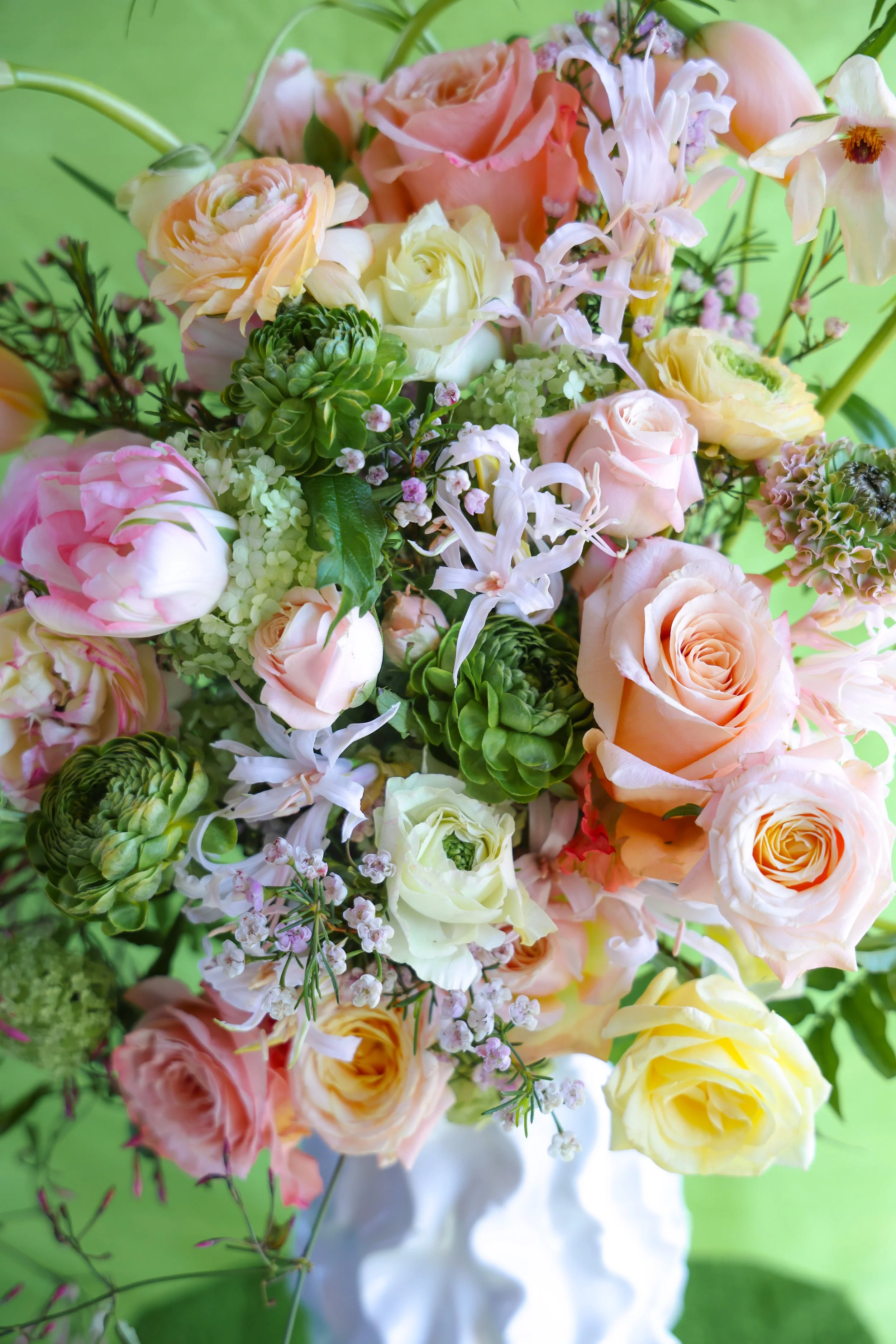 B5553ED5-F7A0-4D67-A03B-F3D9DFB0C6C1.JPEG (Copy)