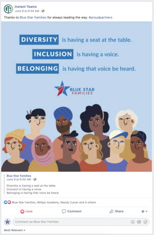 Illustration of diverse people with different skin tones and hairstyles. Text highlights diversity, inclusion, and belonging as leading principles. Blue Star Families logo and event details at the bottom.
