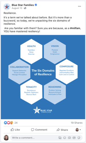 A digital infographic titled 'The Six Domains of Resilience,' showcasing six interconnected hexagons labeled Health, Vision, Collaboration, Composure, Tenacity, and Reasoning, each with related keywords. The infographic is branded with the Blue Star 