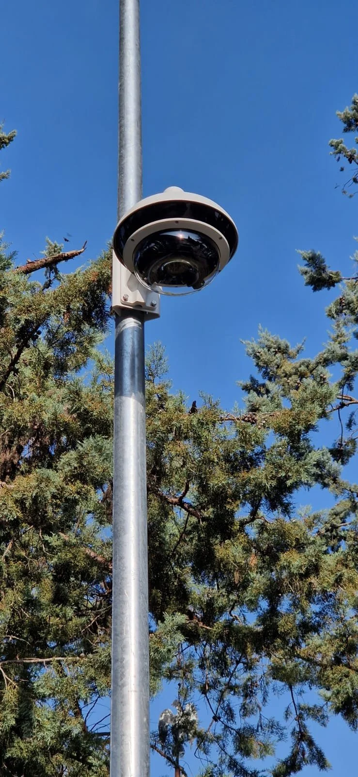 WhatsApp Image 2024-01-09 at 22.50.12 (5).jpeg