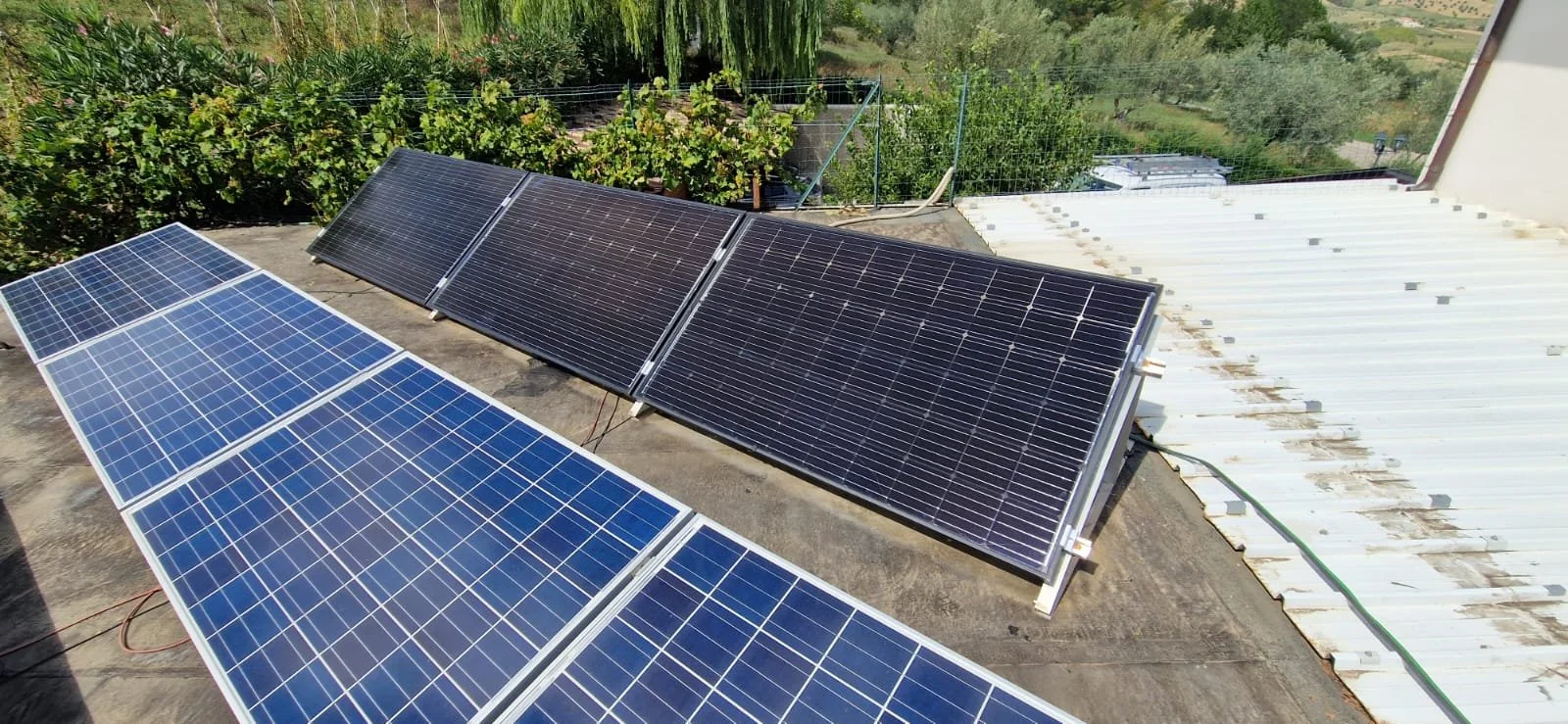 WhatsApp Image 2024-01-09 at 22.50.17 (5).jpeg