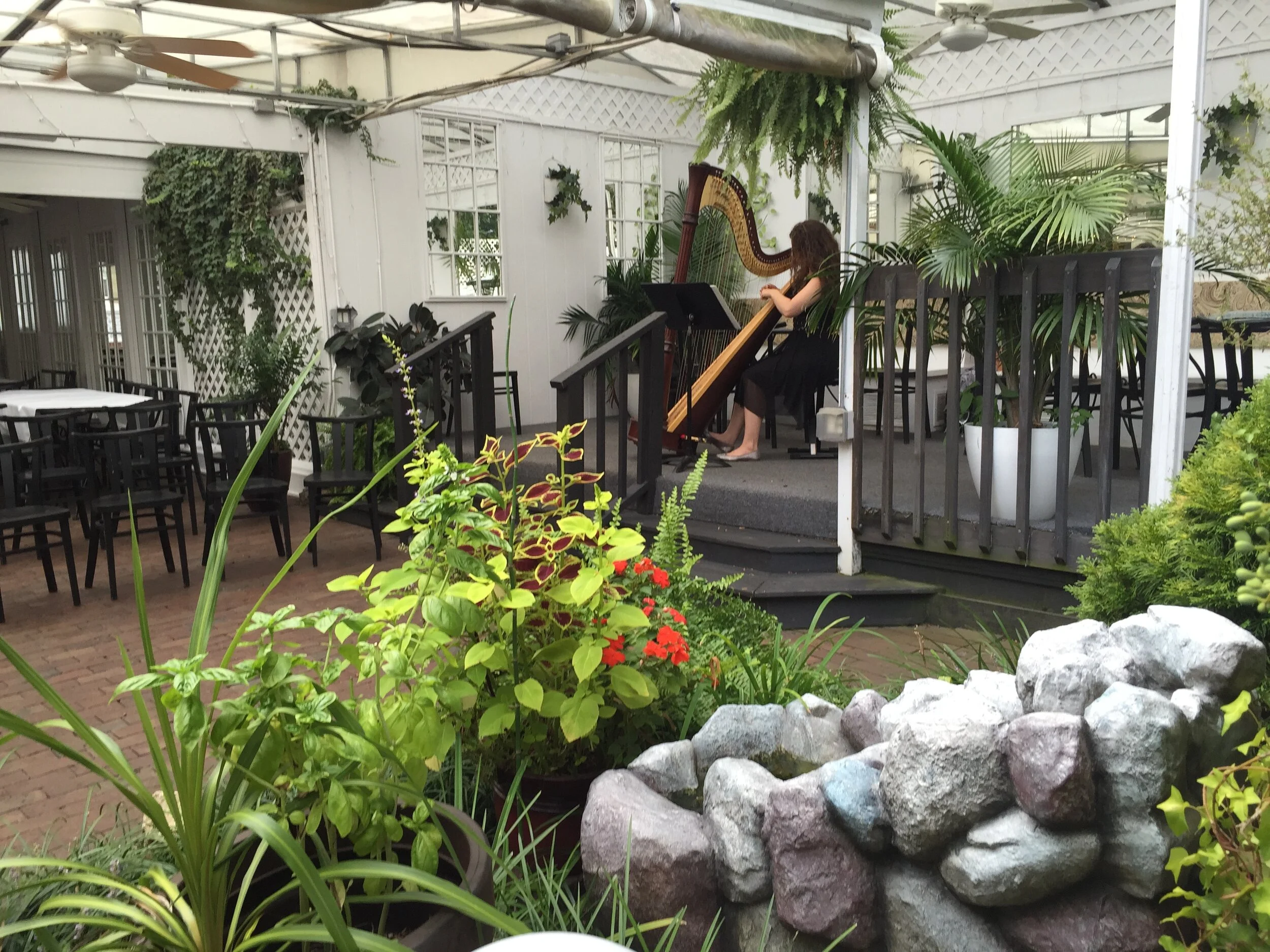 harpist.jpg