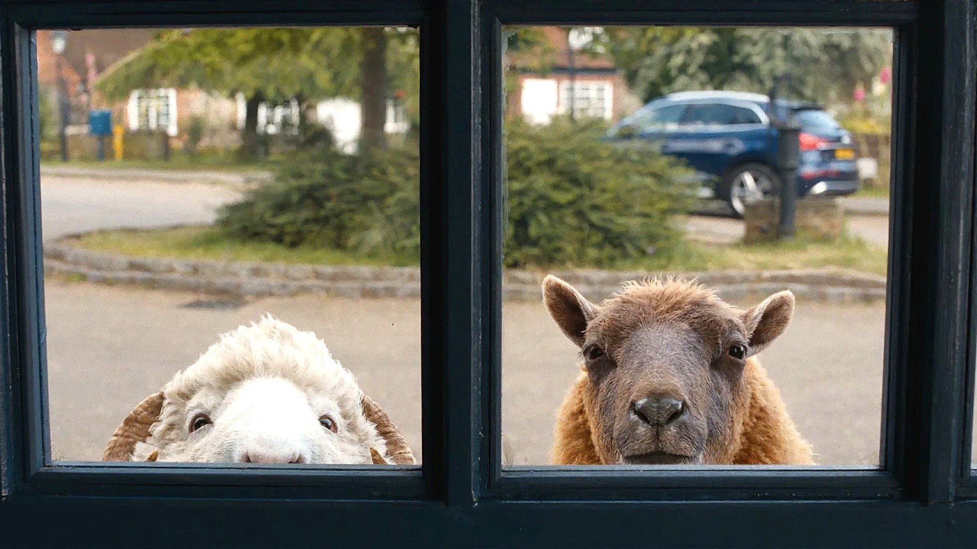 The Sheep Detectives