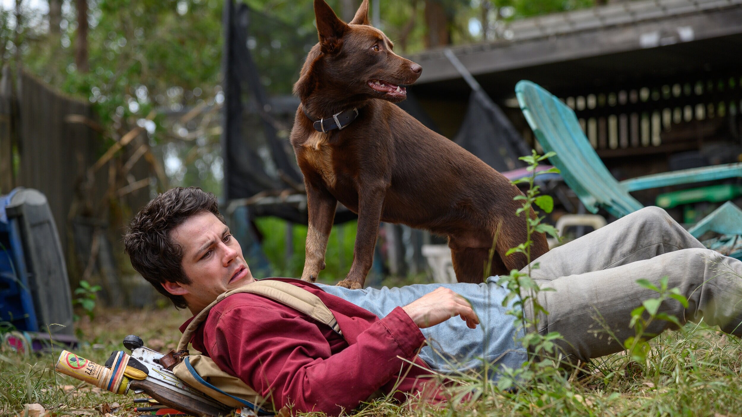 Love And Monsters Film Review Love And Monsters Film Review
