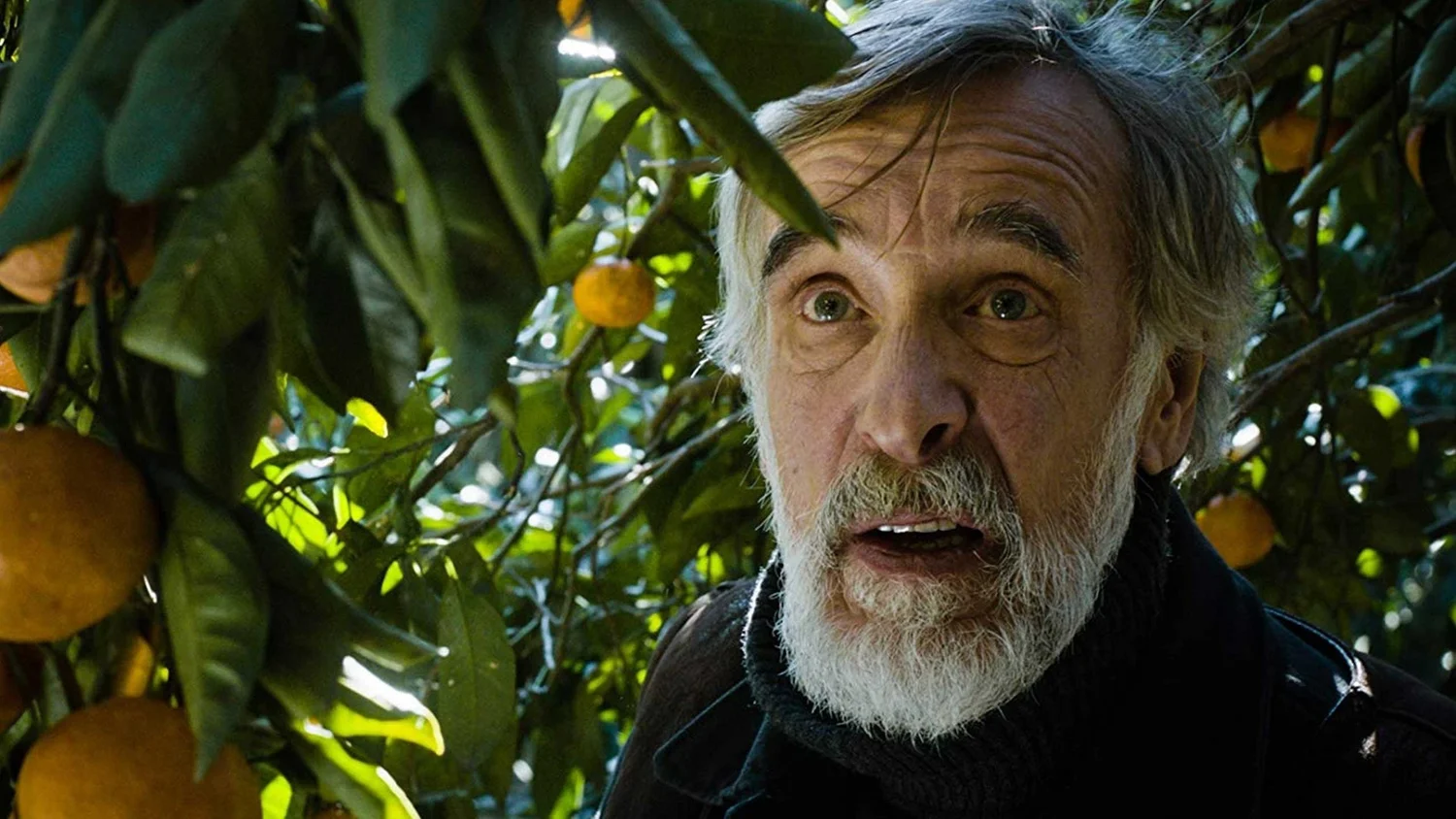 Tangerines — FILM REVIEW