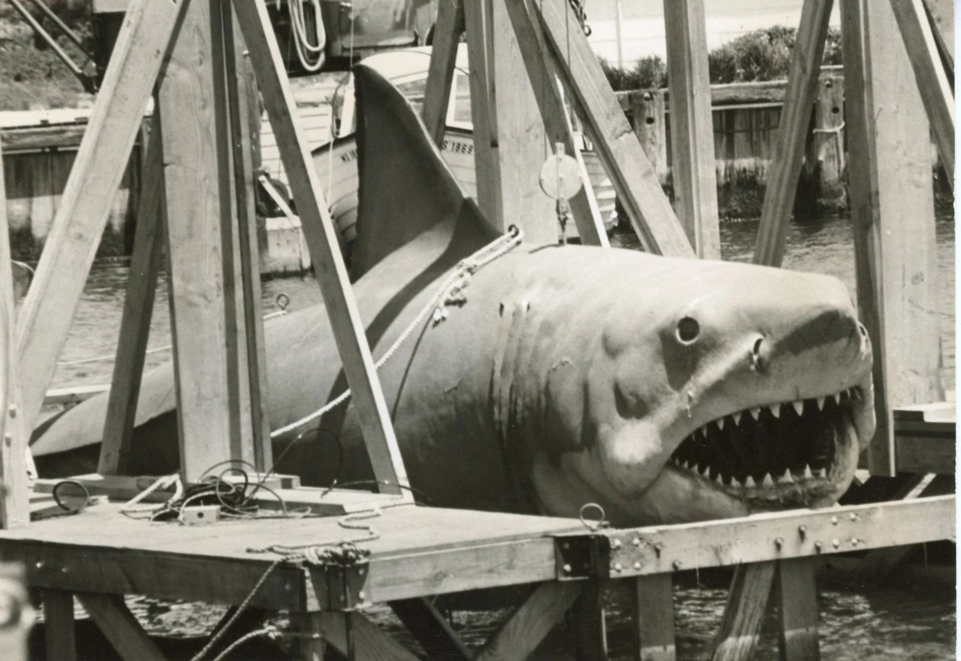Photo by Jackie Baer, courtesy of MV Museum