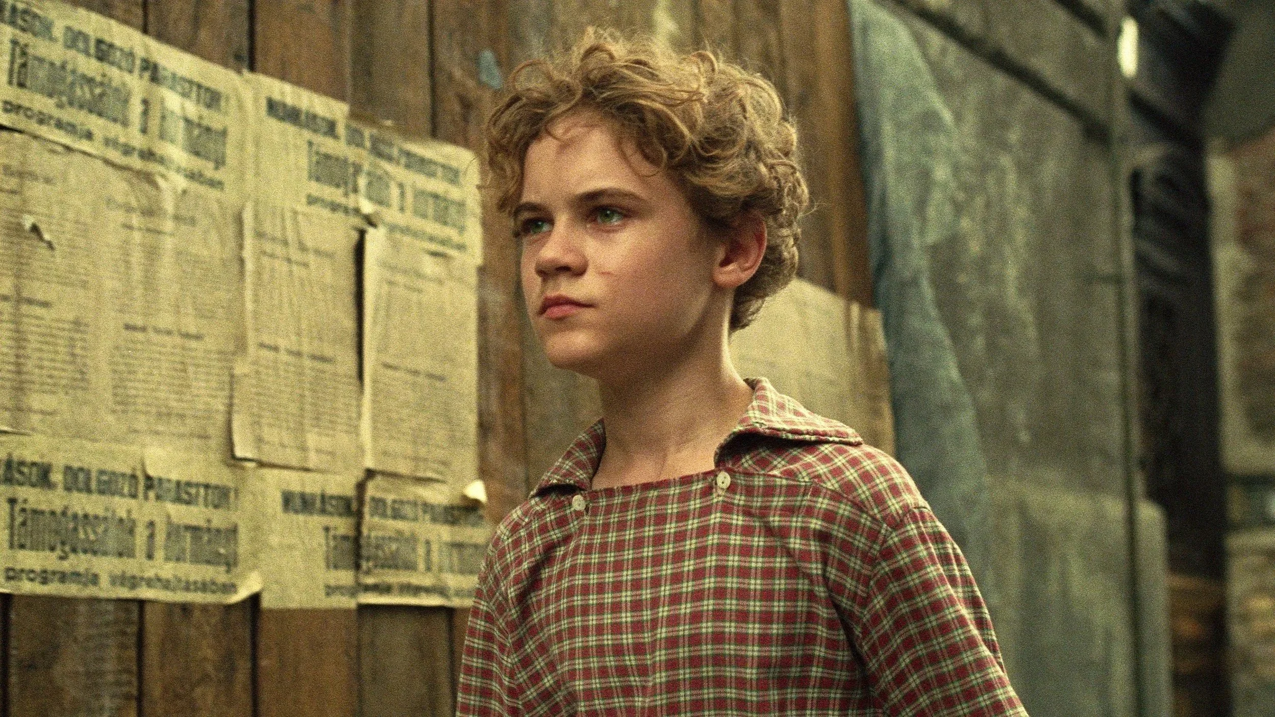 Orphan