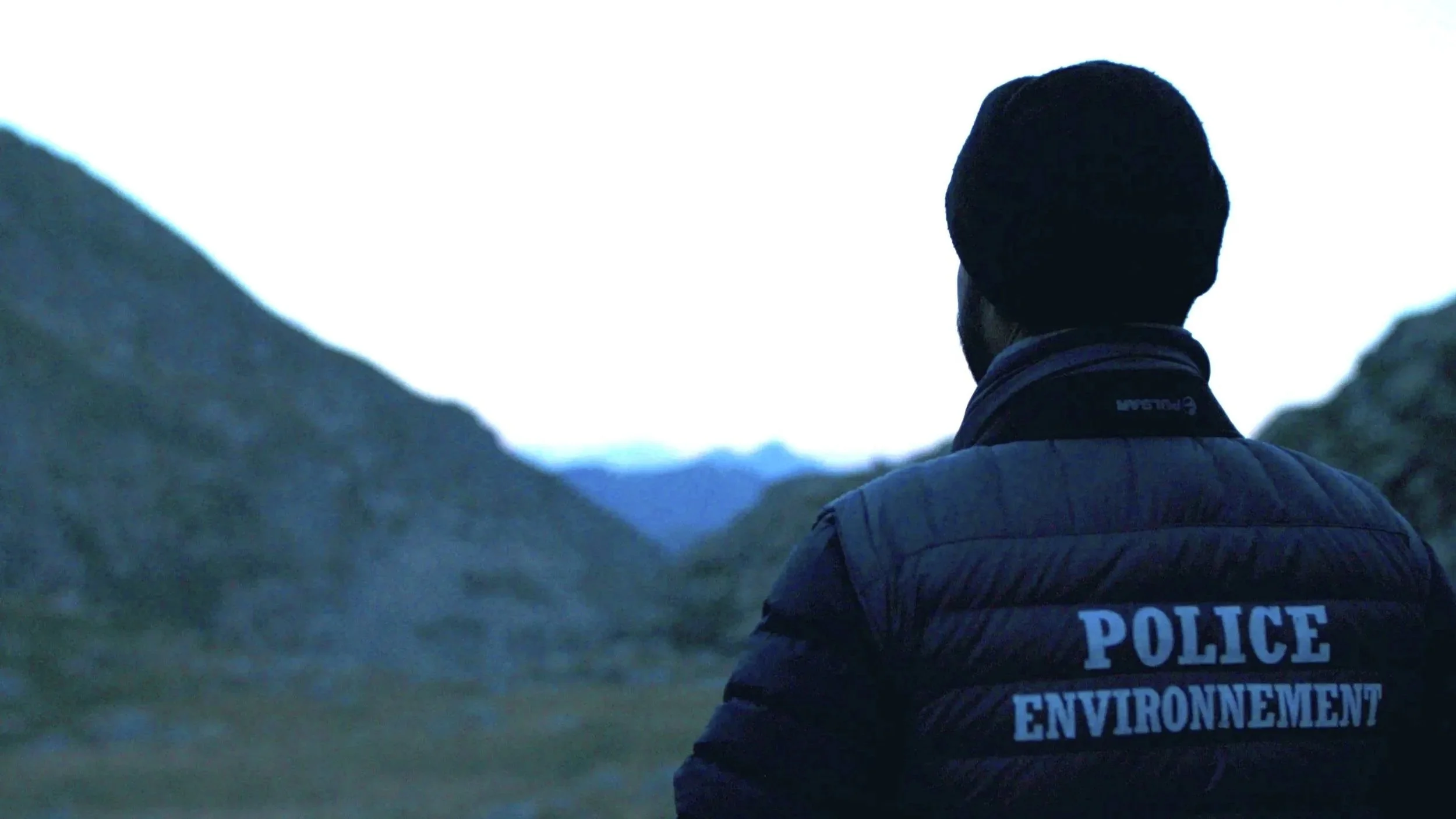 The Shepherd and the Bear