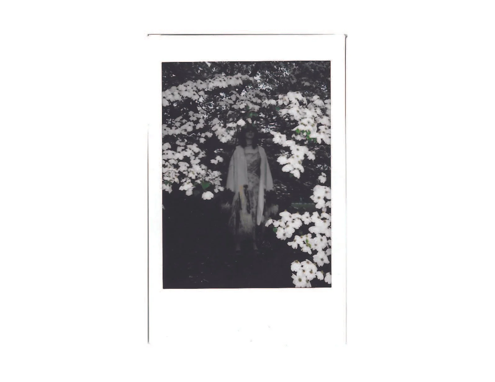 IG Lookbook _Page_28.jpg