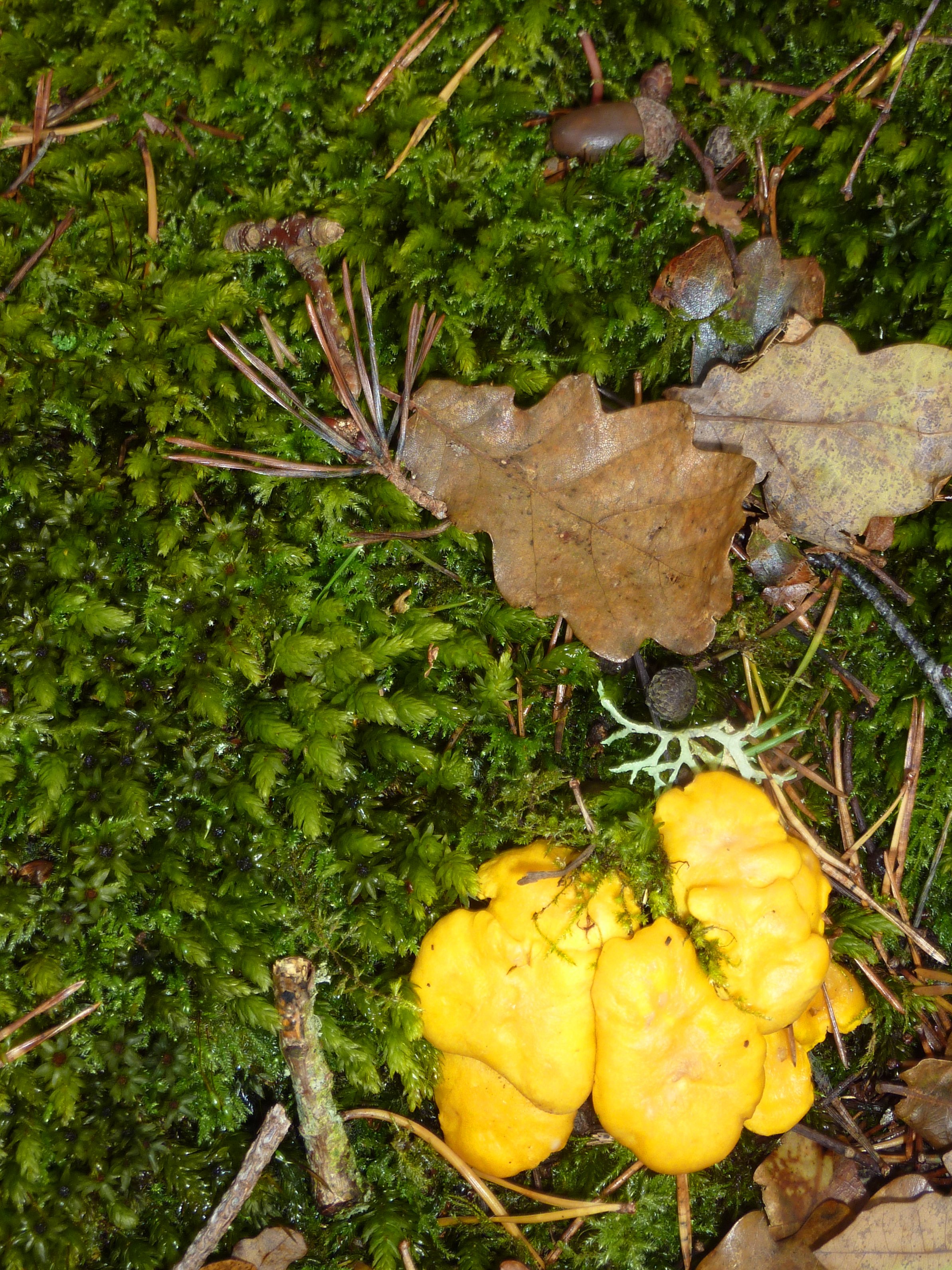 P1010679.jpg
