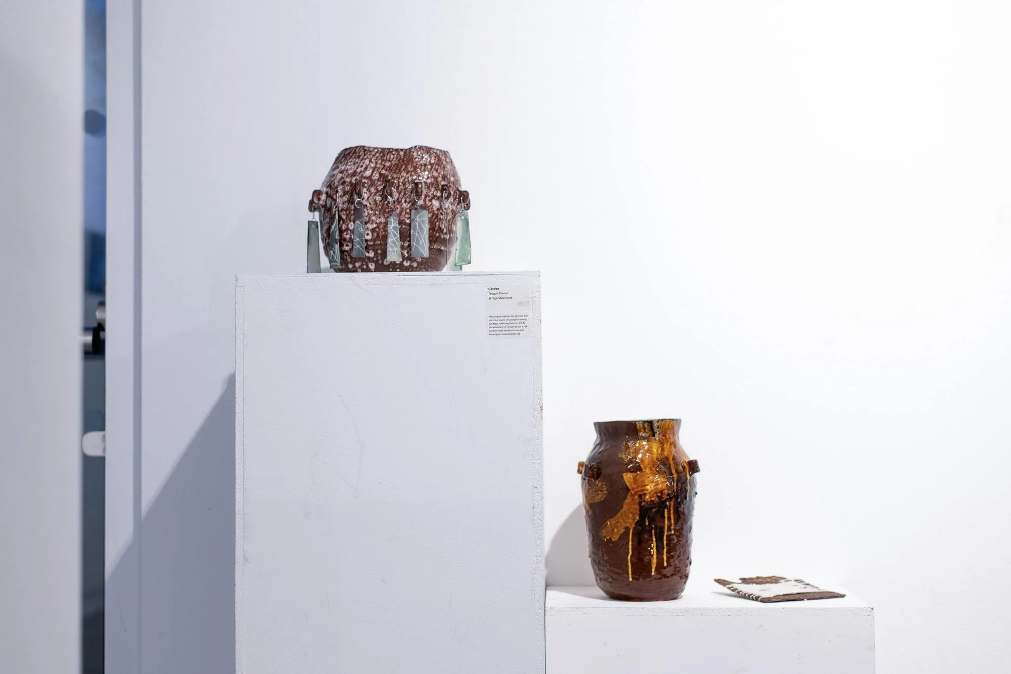 Tegan-Davies veiled.jpg