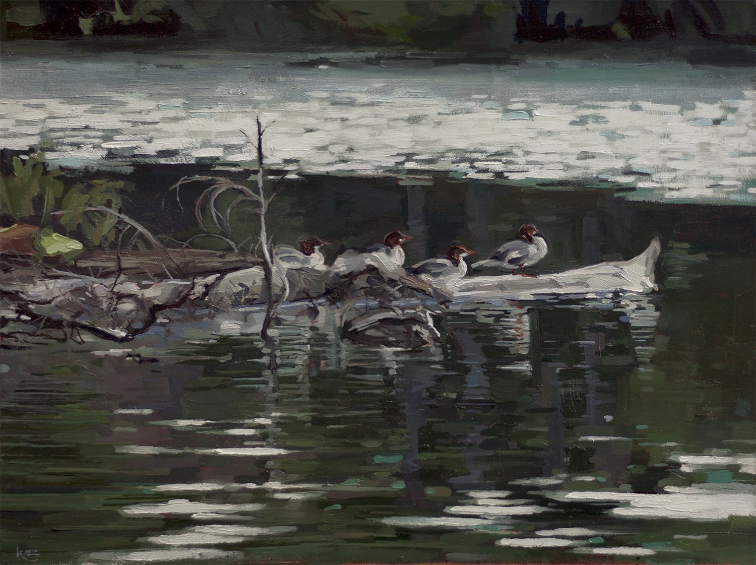 Merganser Row