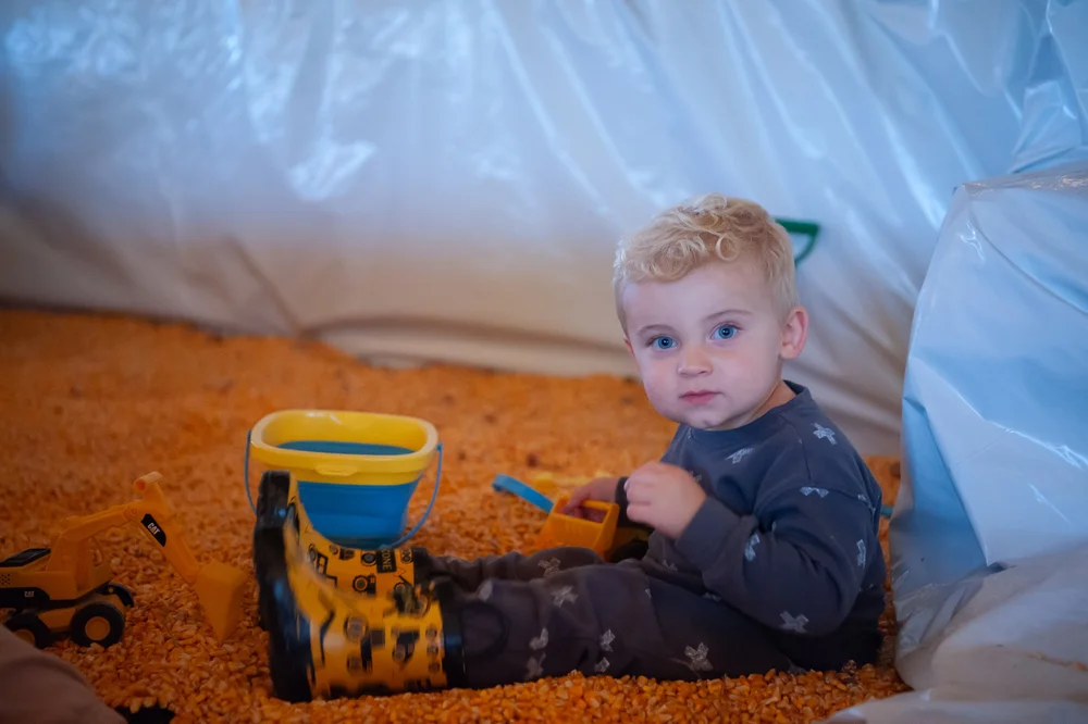 A toddler scooping corn kernels in the corn pool