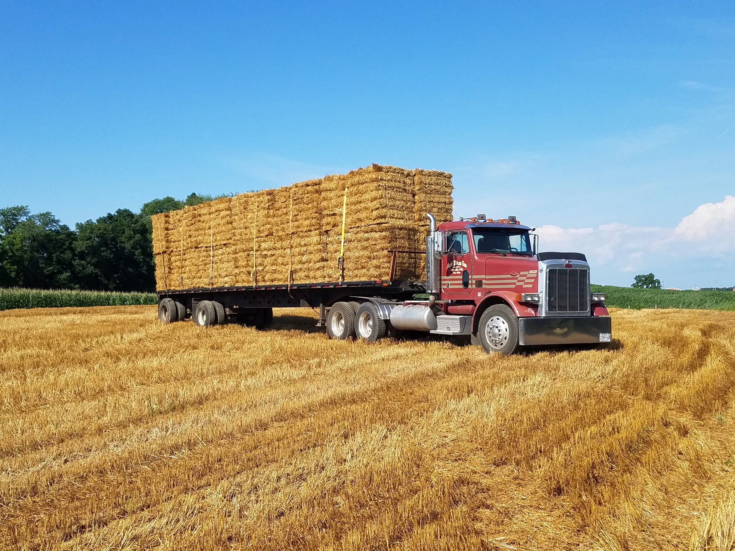 Fall Flowers, Horse Hay & Wheat Straw for Sale White Hall, MD — Maple Border Farm