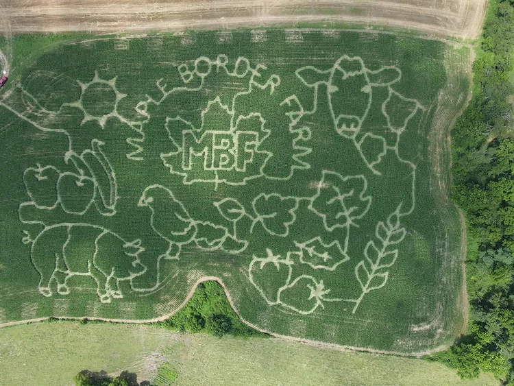 2025 corn maze design