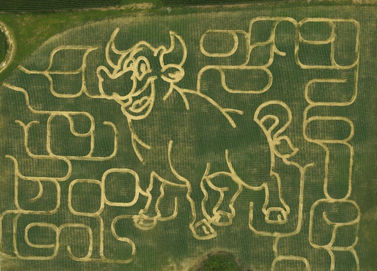 2022 corn maze design