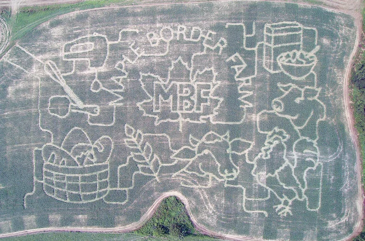 2023 corn maze design