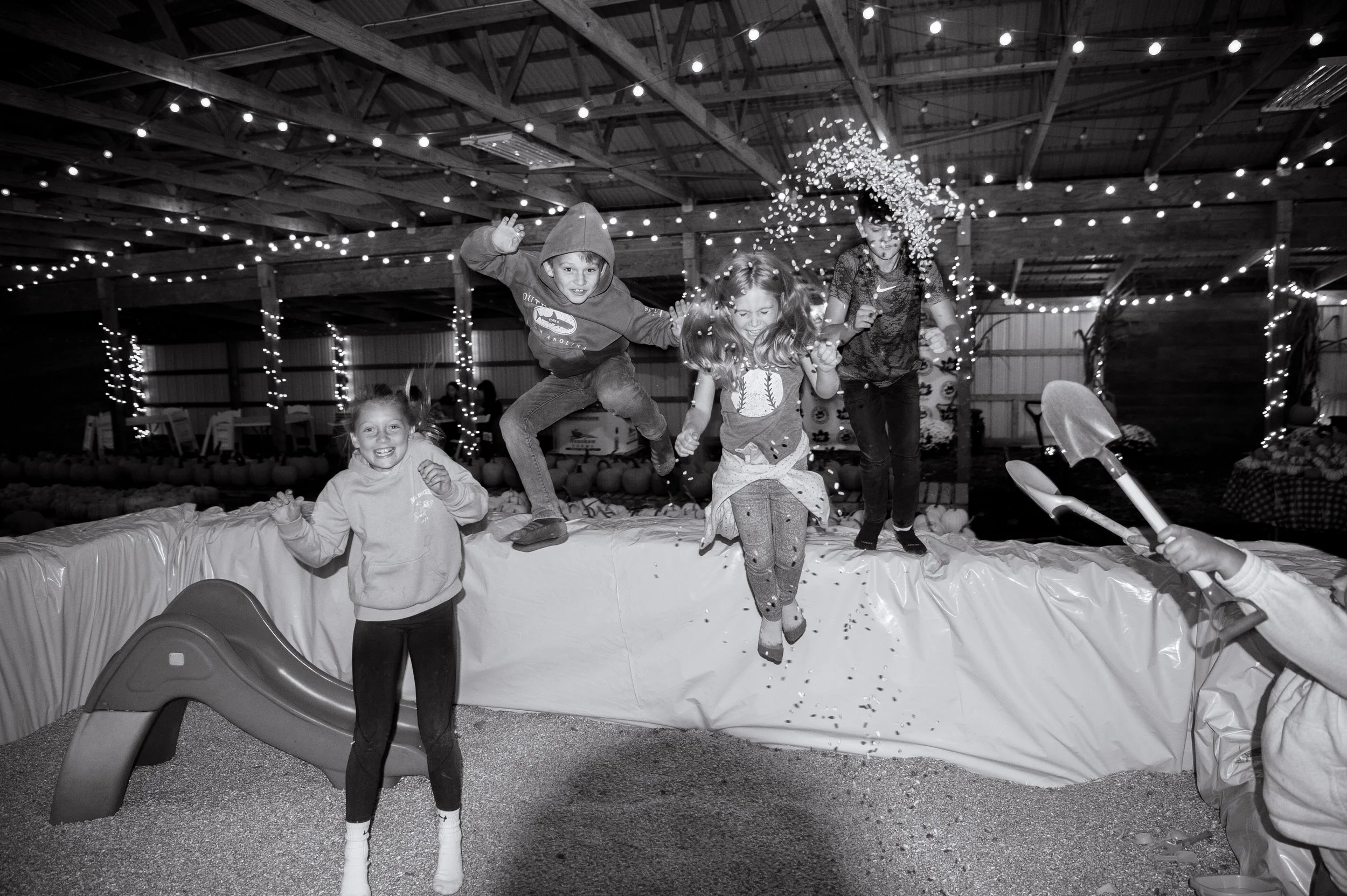 Children playing under string lights at the farm in the evening
