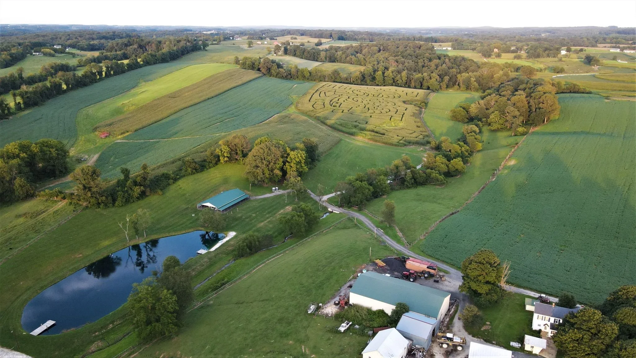 Corn Mazes Family Fall Activities White Hall, MD — Maple Border Farm