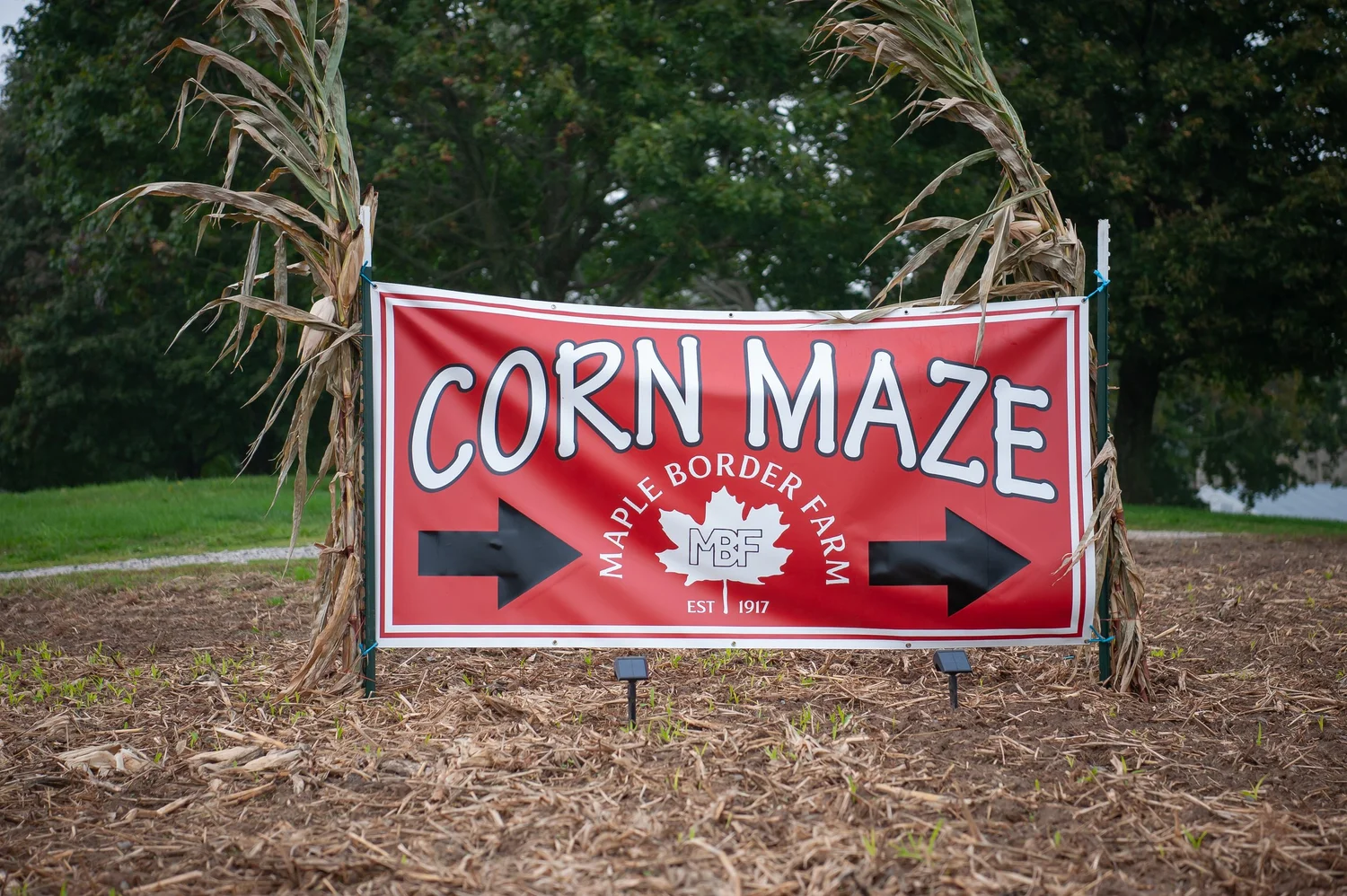 The red Corn Maze sign at the Maple Border Farm entrance