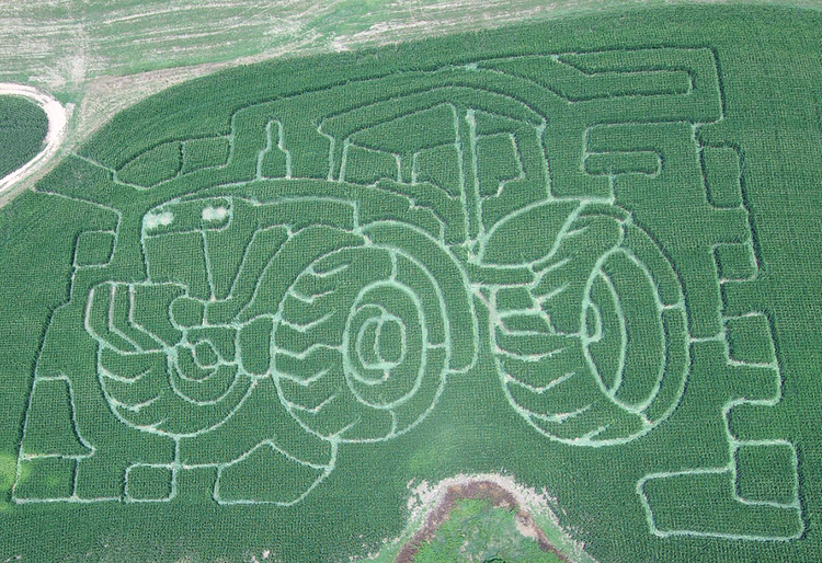 2021 corn maze design