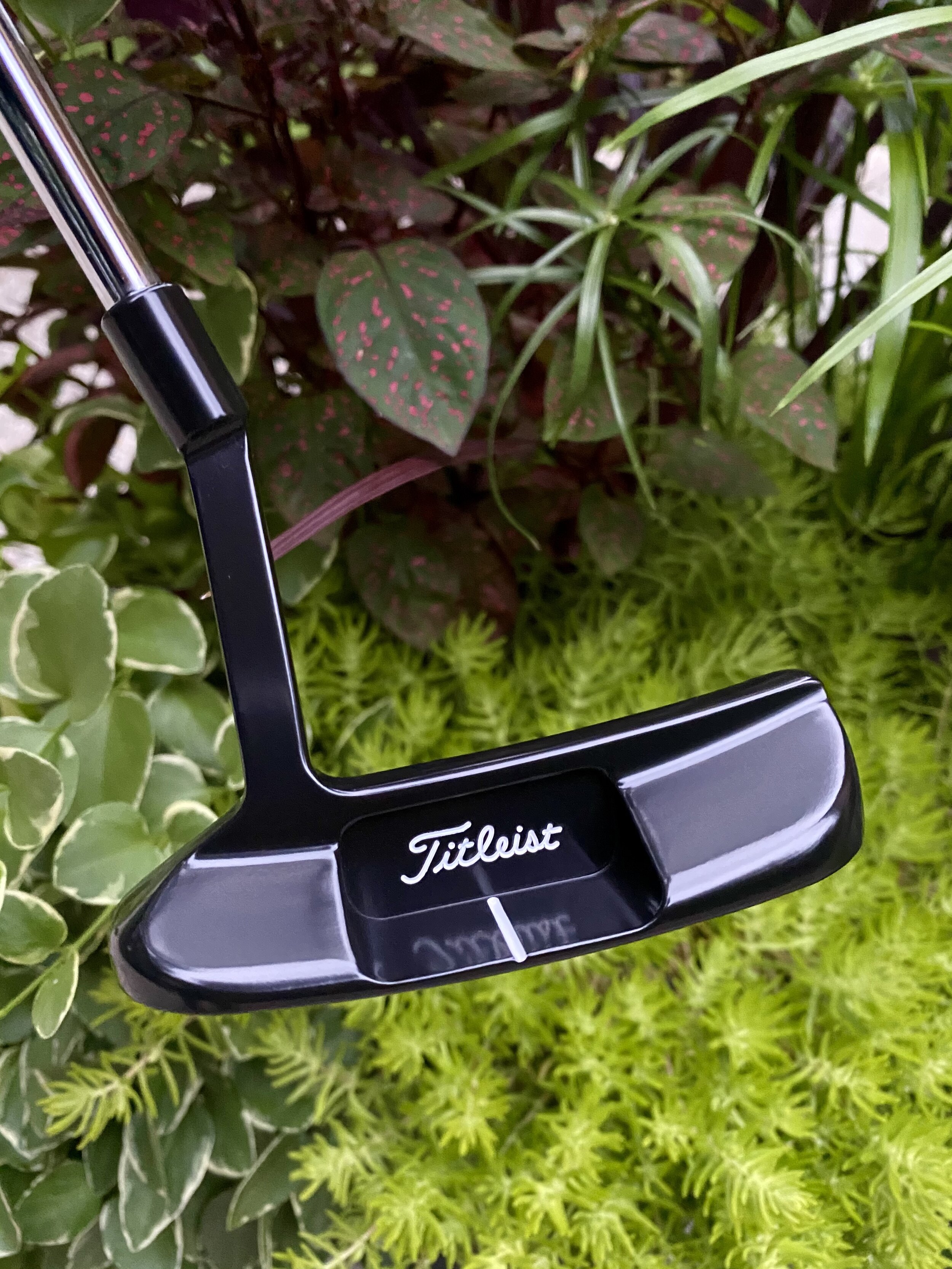 Gallery — Mainely Putters