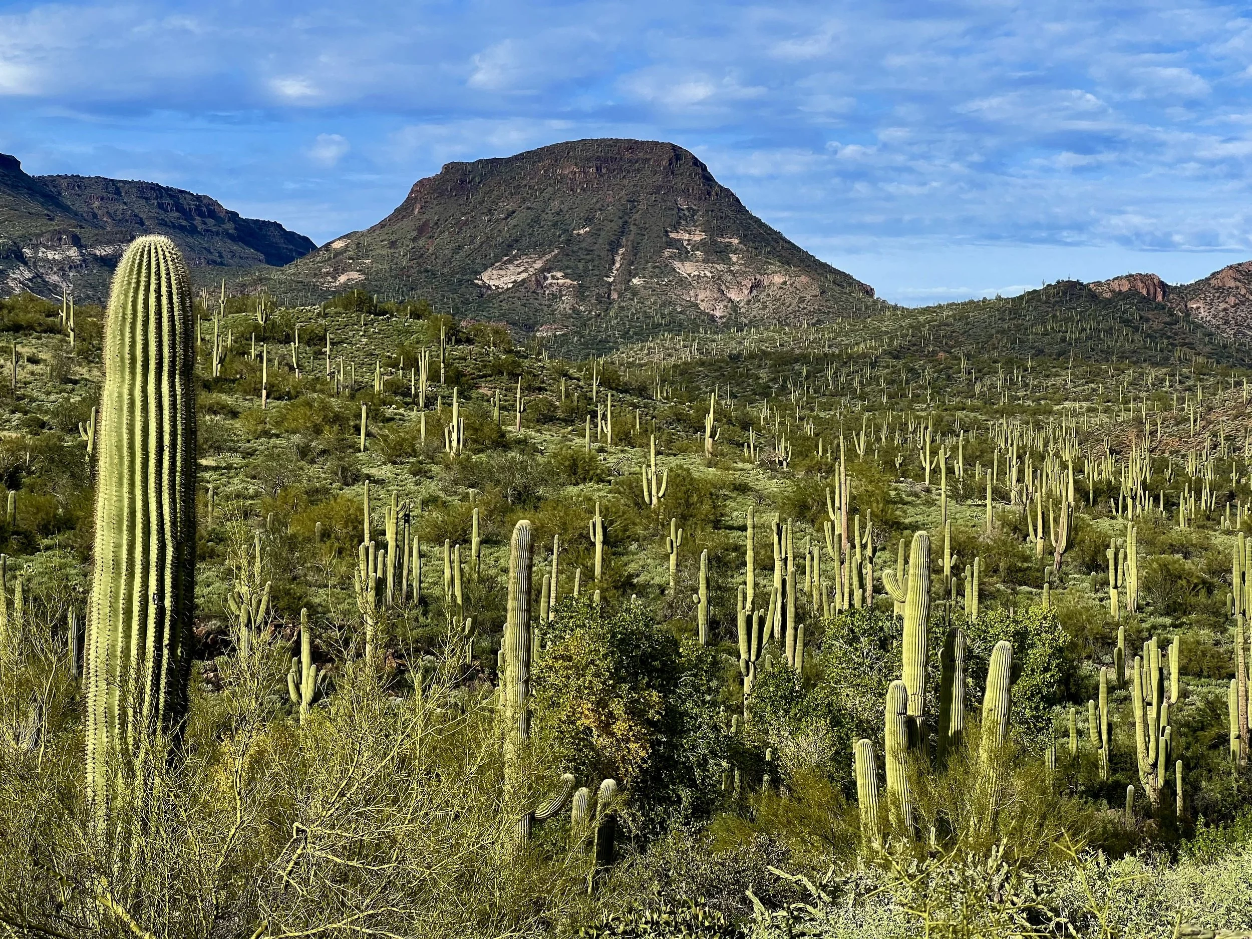 2026 Guide to Kid-Friendly Hiking in Phoenix