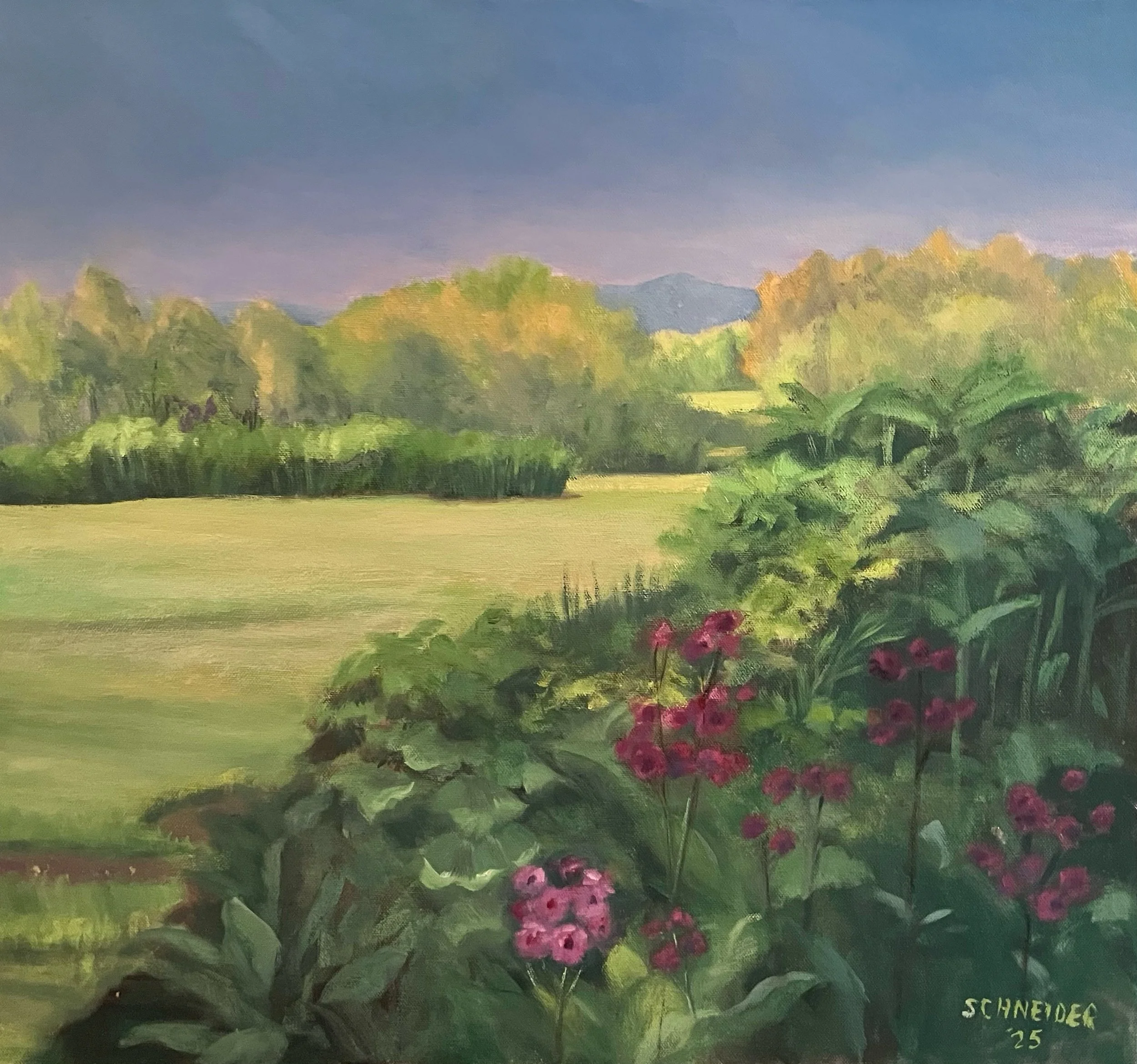 Primrose Spring   oil on canvas, 22 x 20   $375 (#282)