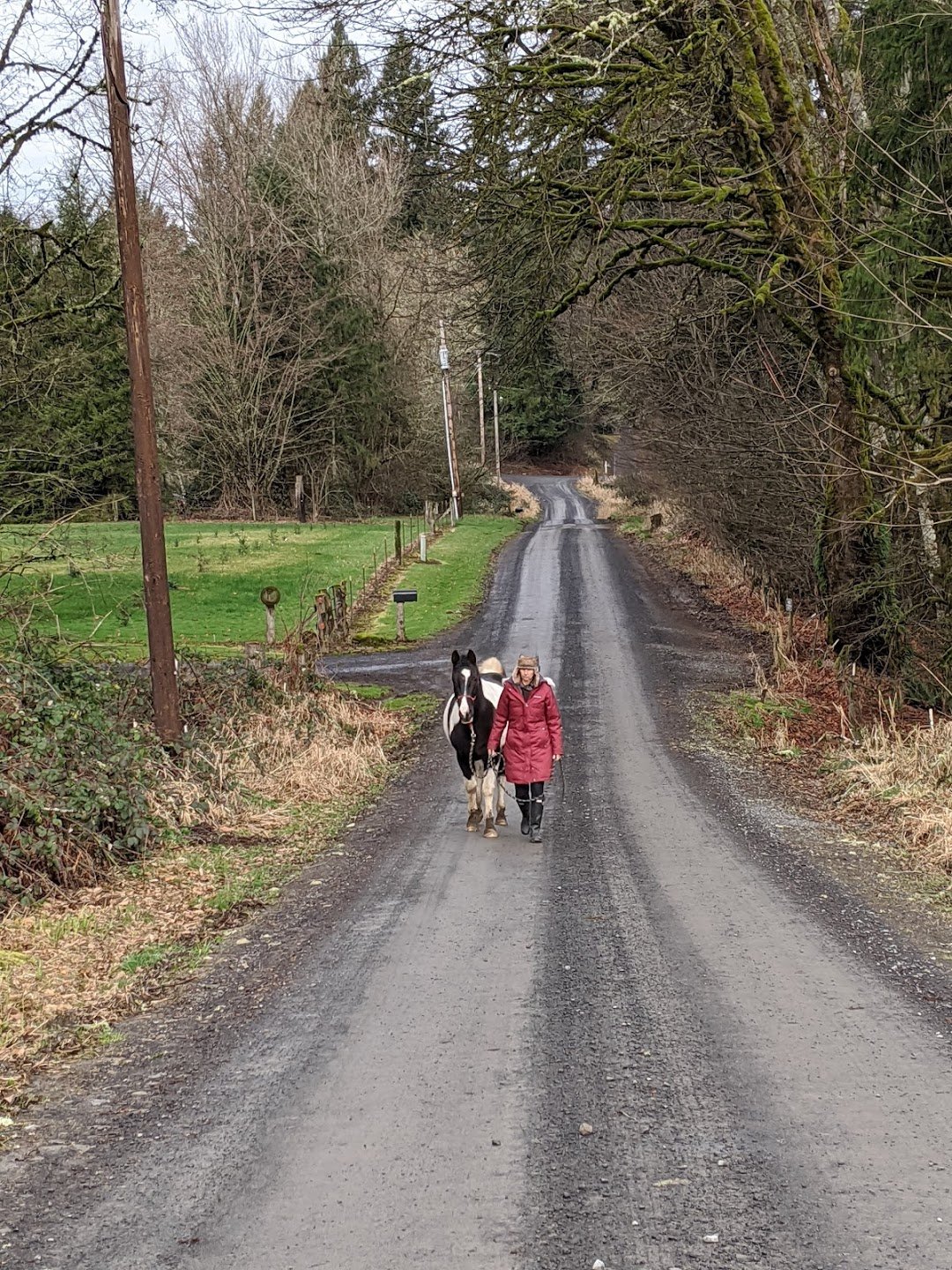 A client enjoys a quiet walk with Bentley