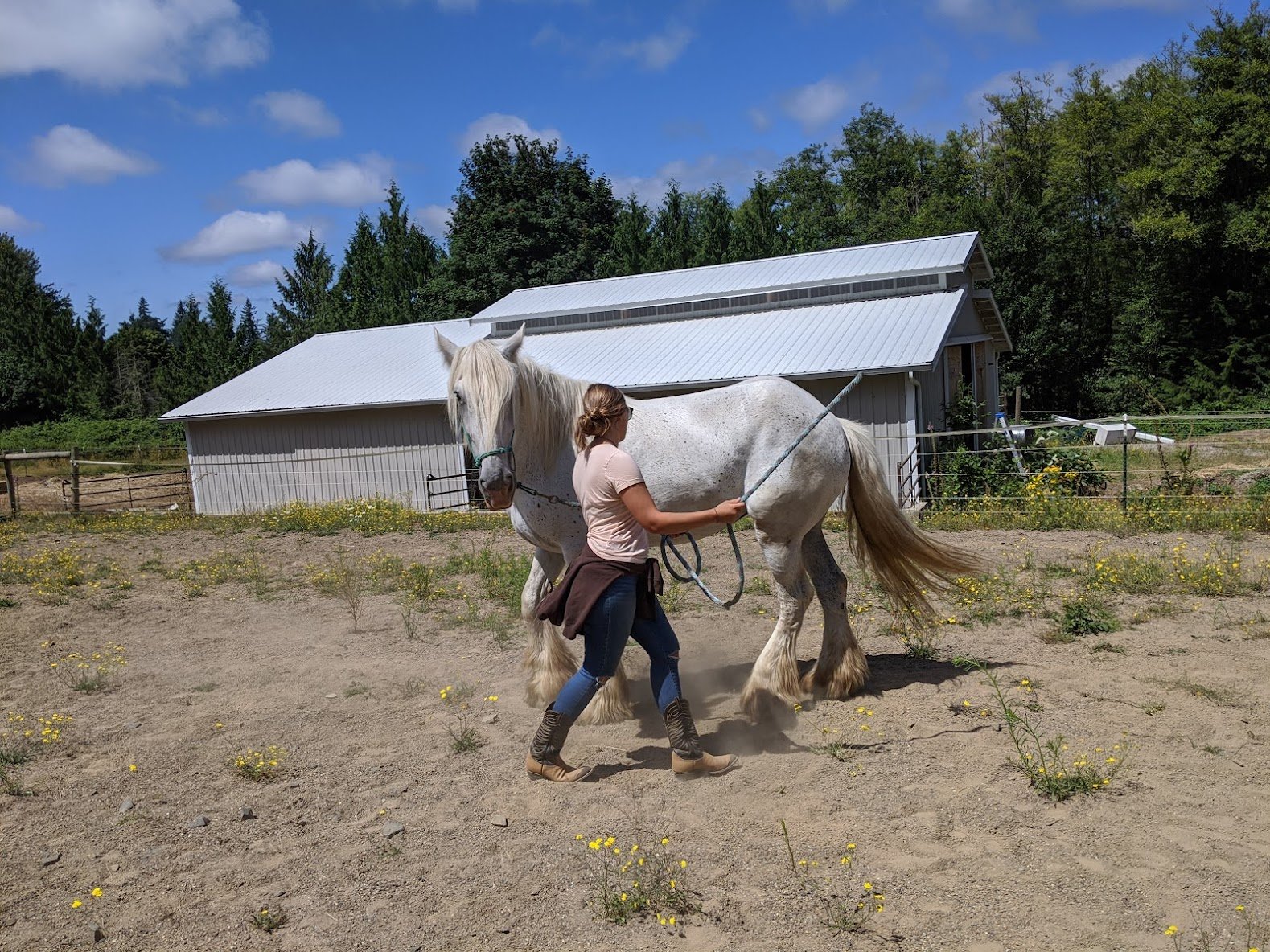 A client works with Avalon in the horsemanship program