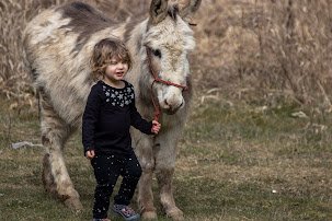 Meghan's daughter Selah walks with Izzie, mini-donkey