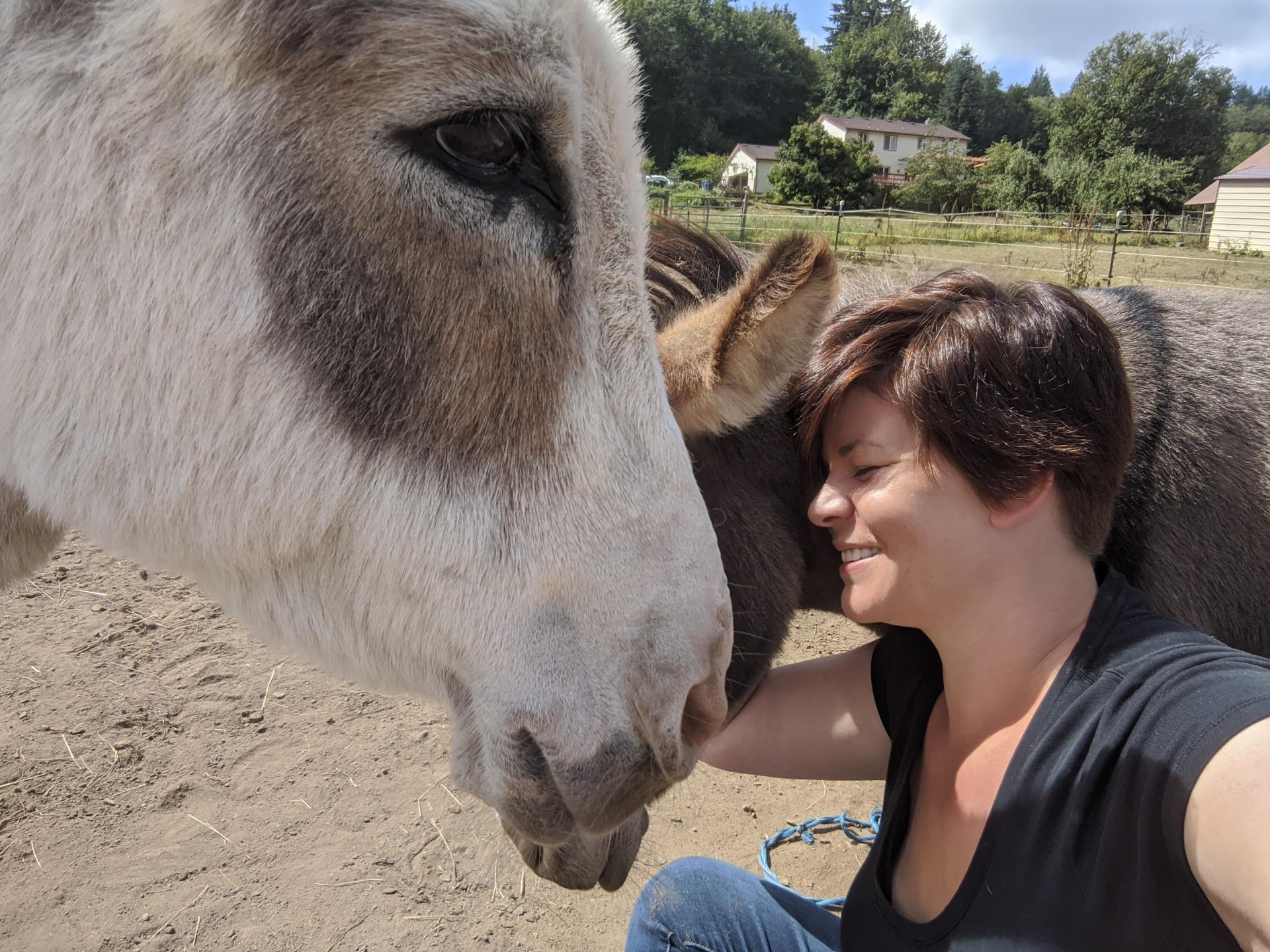 The mini-donkeys can always be counted on for snuggles and love