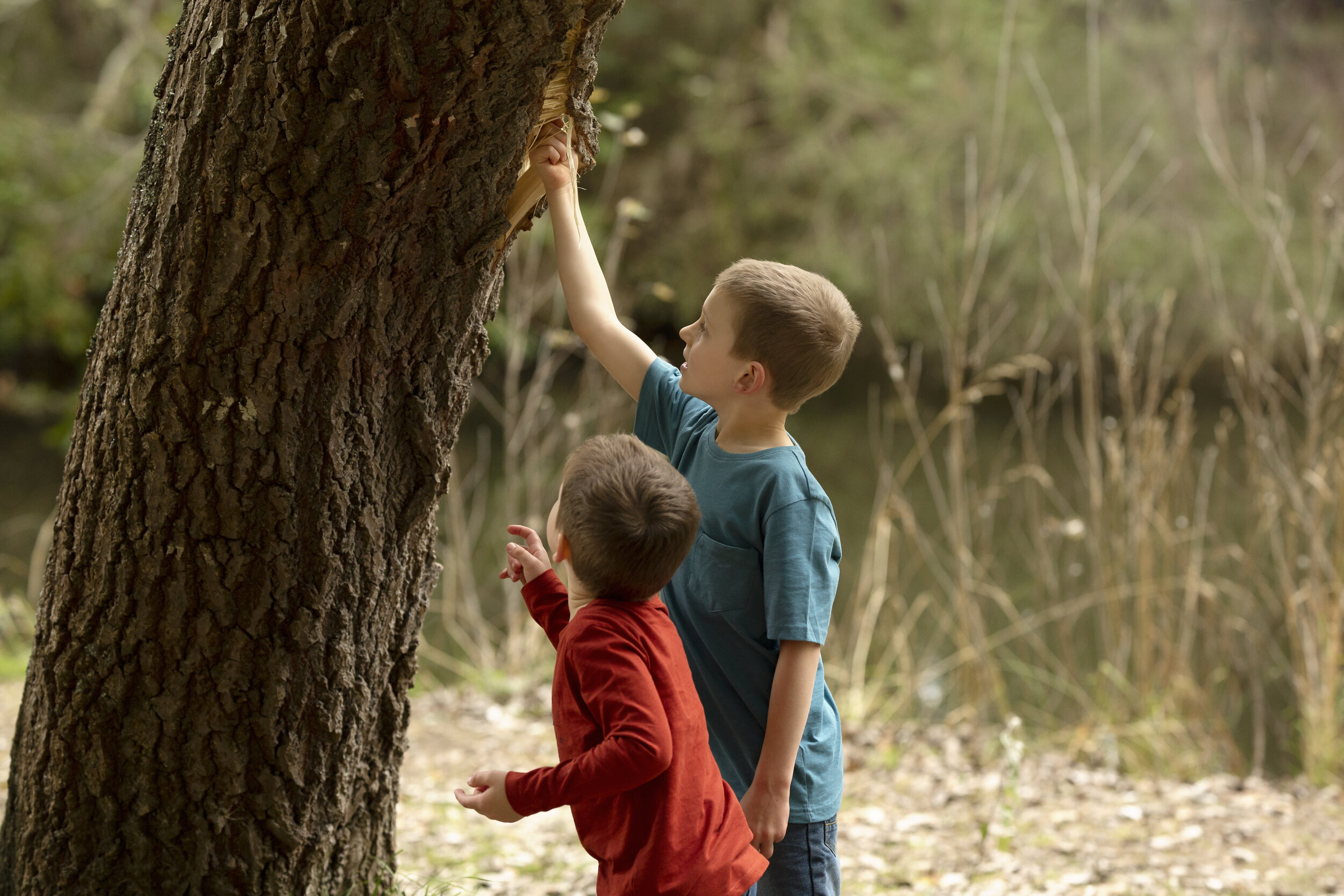 Sibling photo Bridget Jane Photography